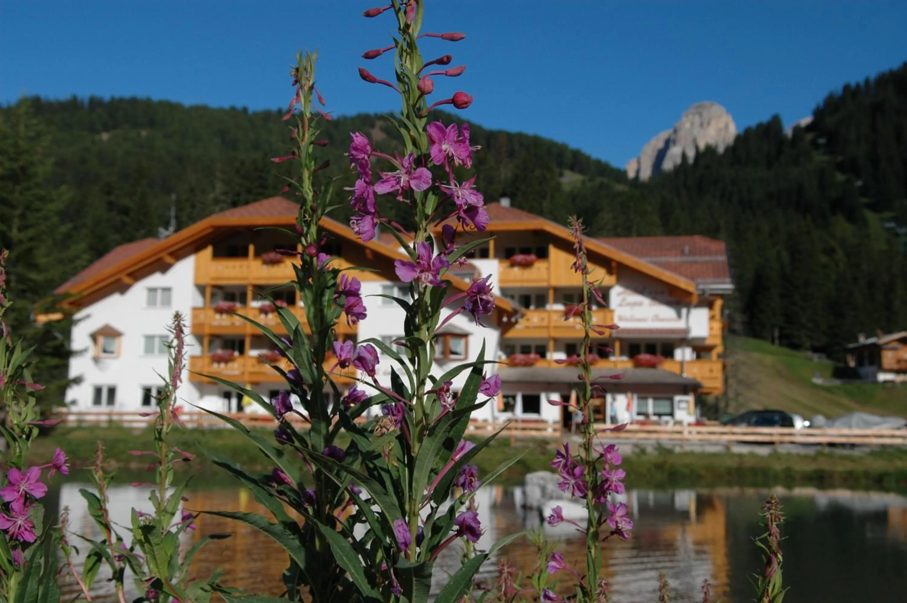 Lake view in Wellness Hotel Lupo Bianco