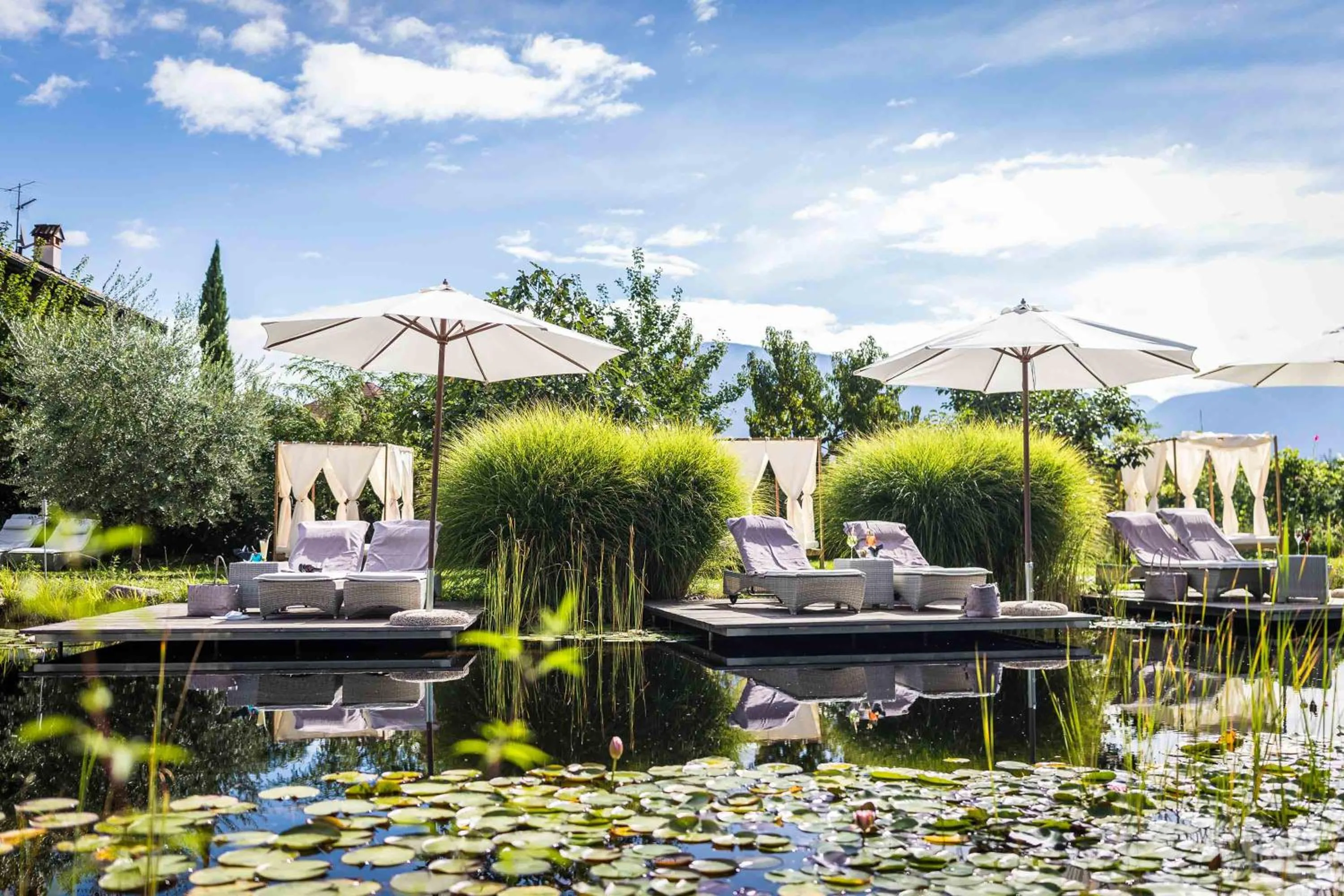 Garden in Hotel Weingarten