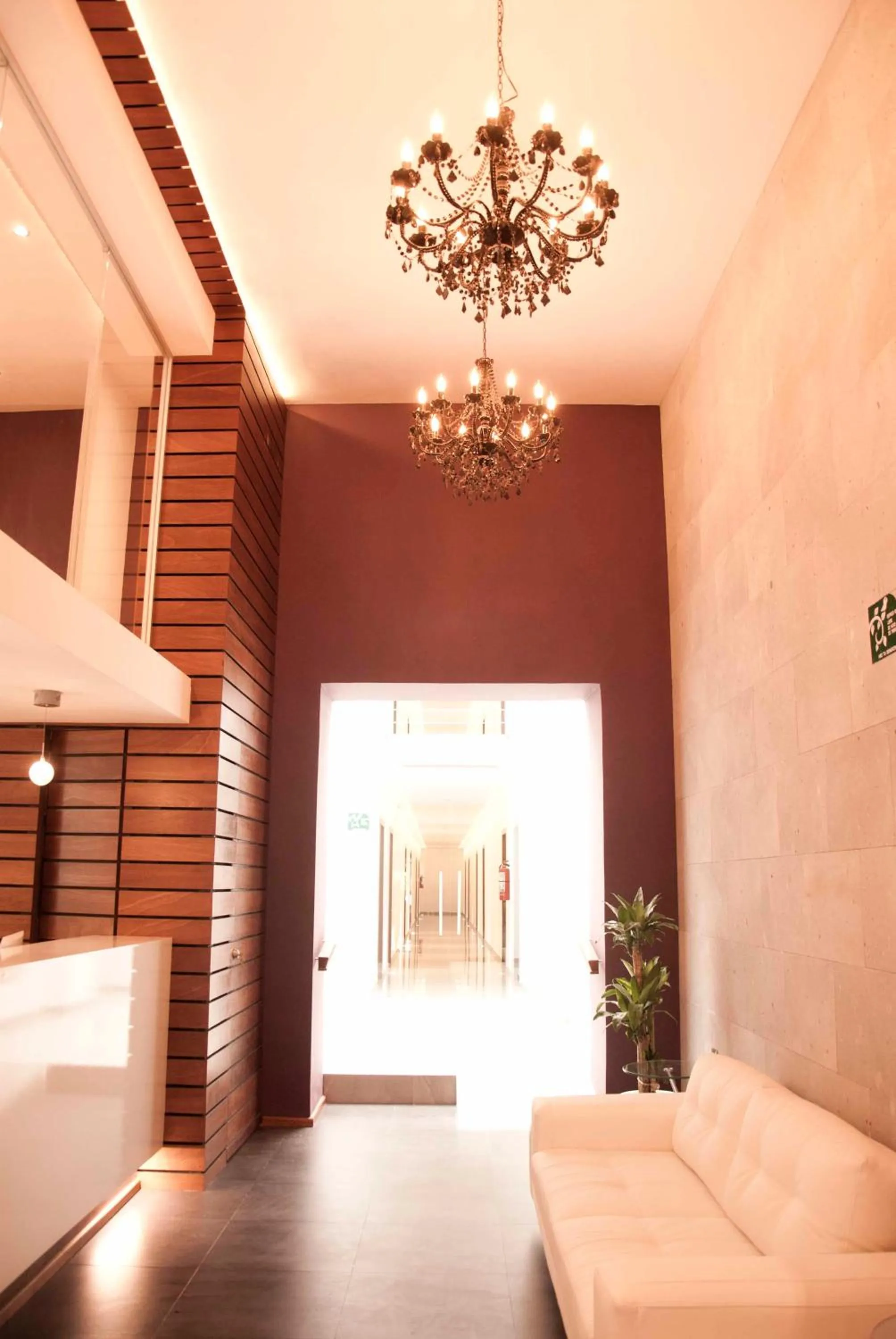 Lobby or reception, Bed in Hotel MS