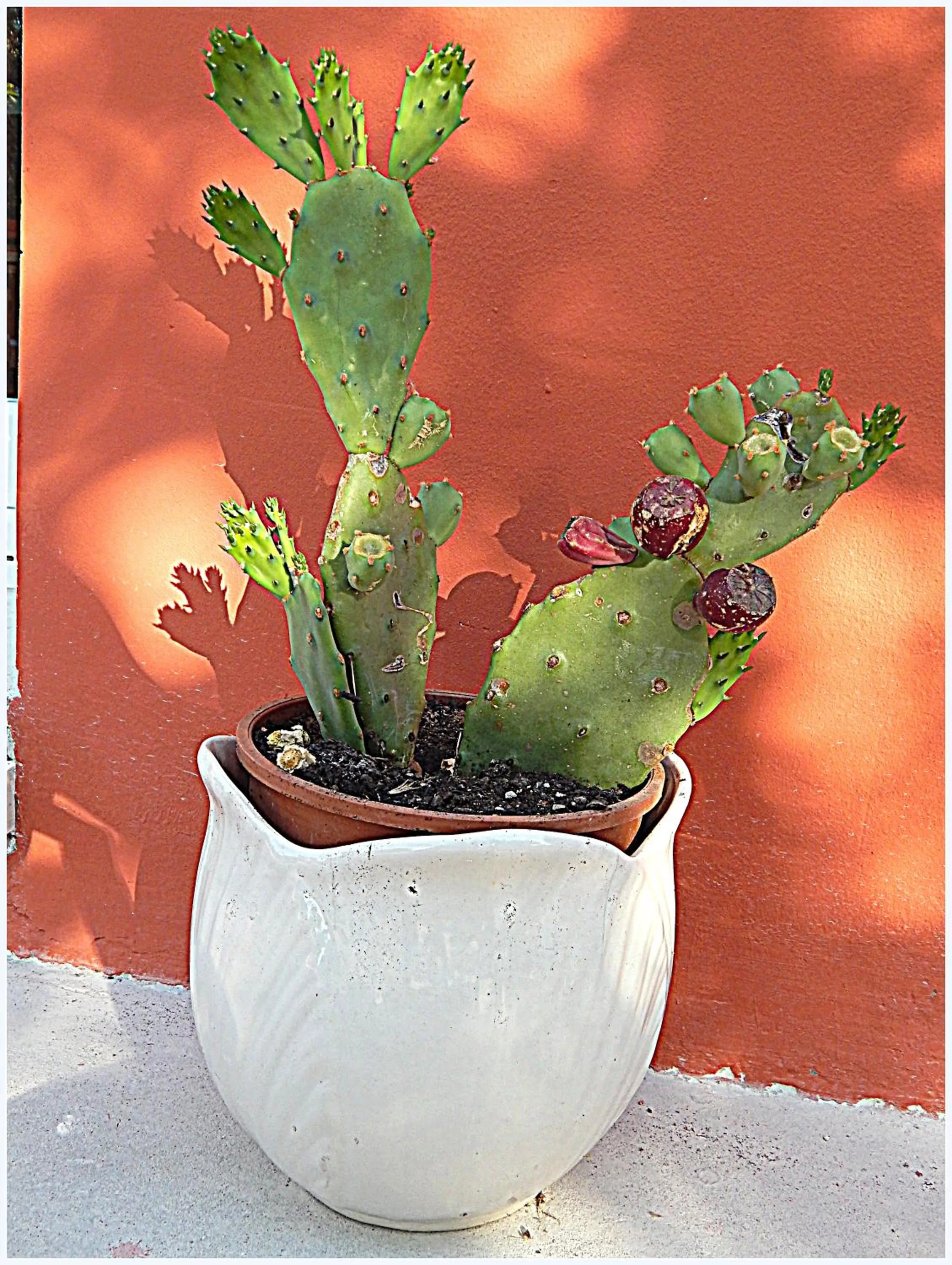 Other in Il Casale dei Principi