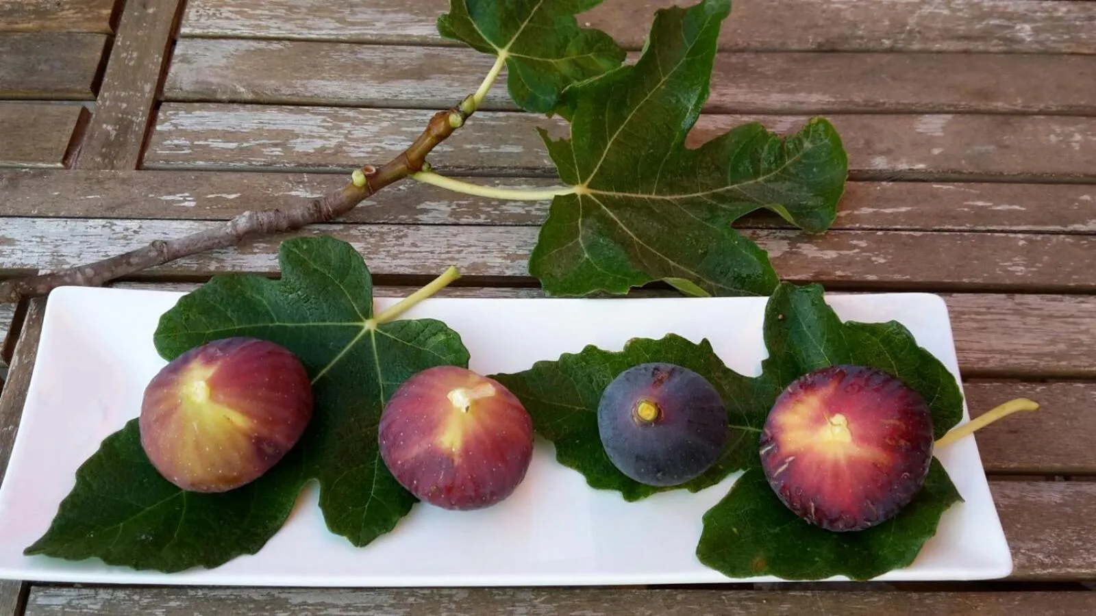 Day in Il Casale dei Principi