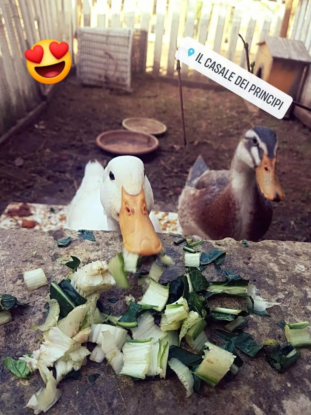 Spring in Il Casale dei Principi