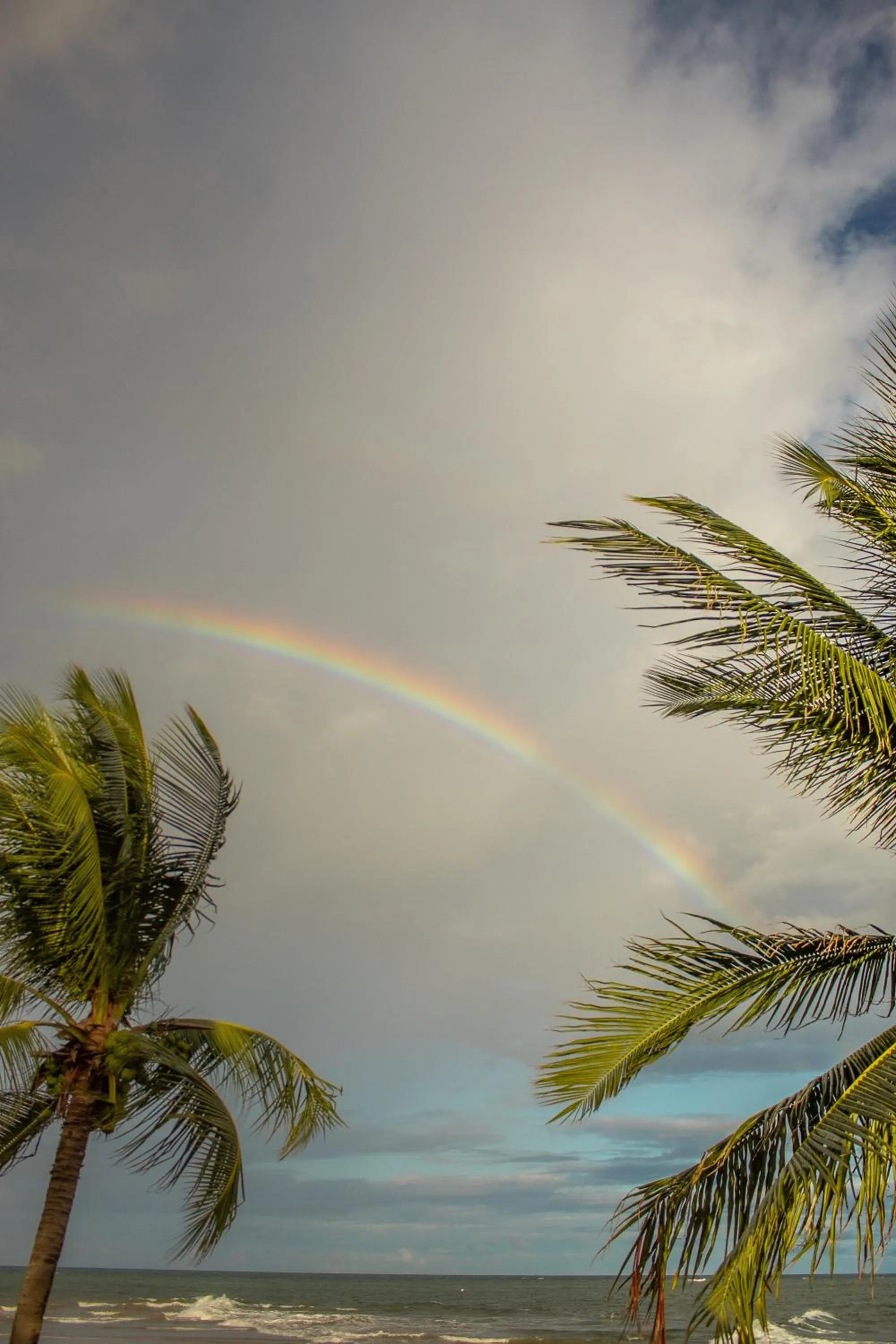 Beach in Serrambi Praia Suites