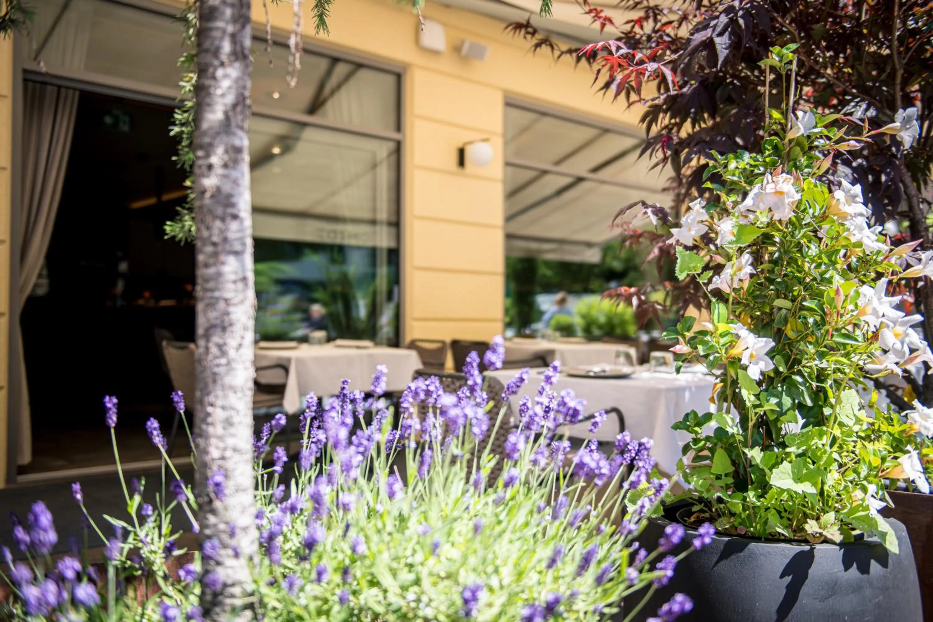 Restaurant/places to eat in HOTEL POST alpine cityflair