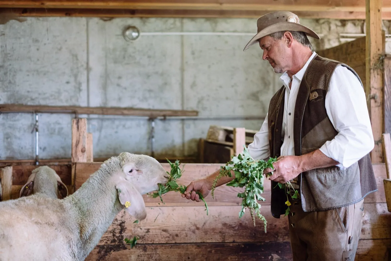 On site in Naturhotel Miraval