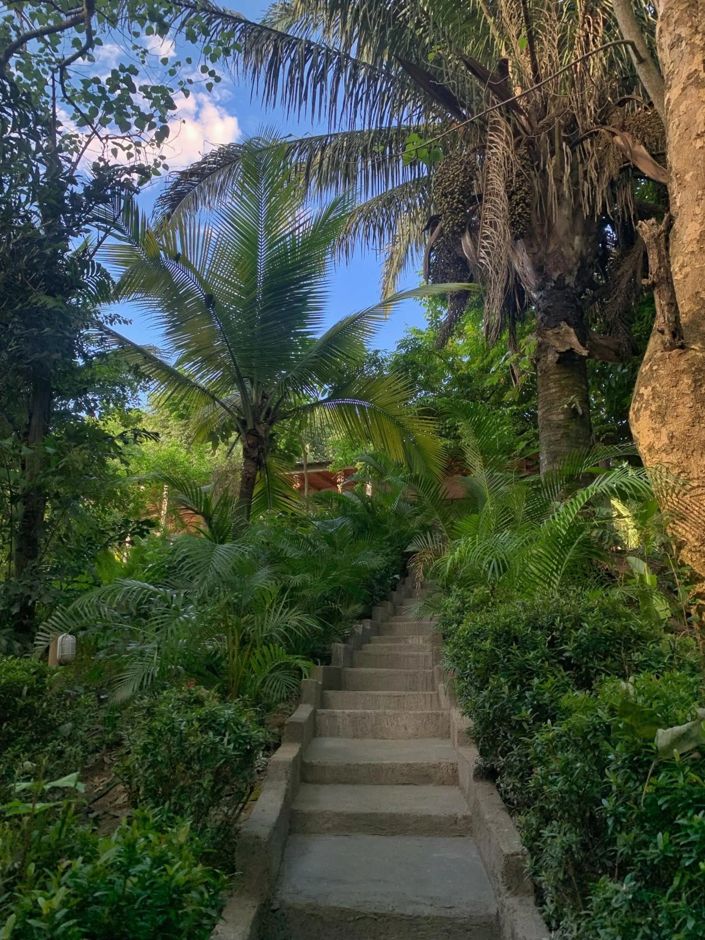 Garden in Hotel La Casablanca Tayrona