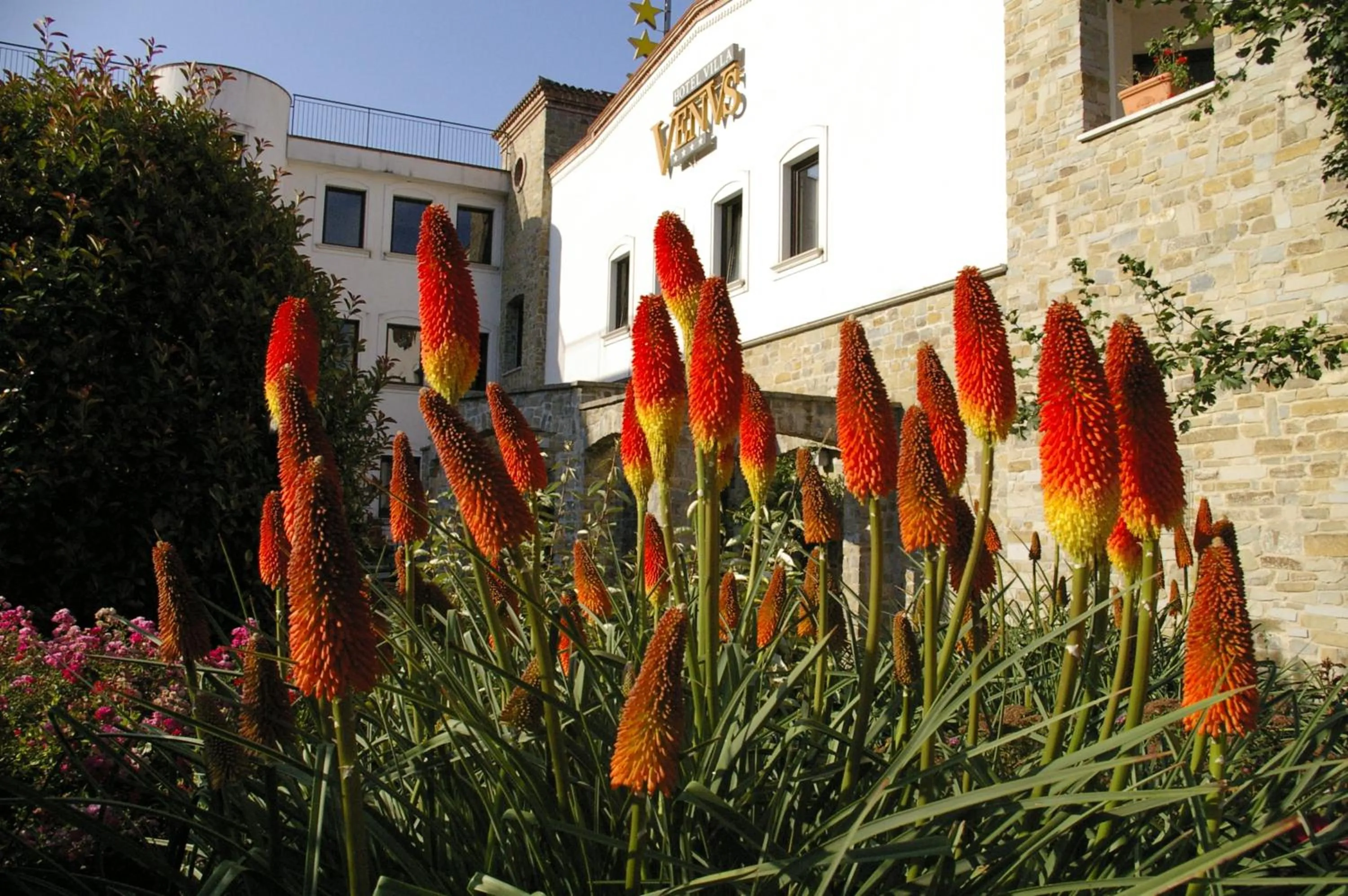 Facade/entrance in Hotel Villa Venus Resort & SPA