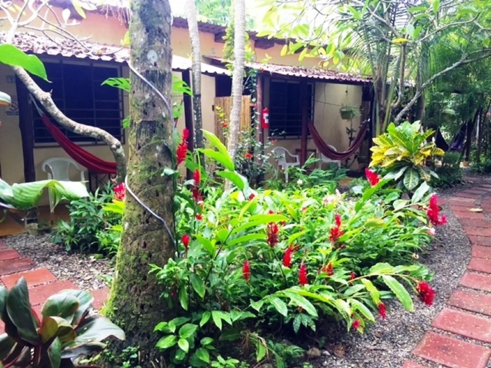 Garden in Hotel Tropical Sands Dominical