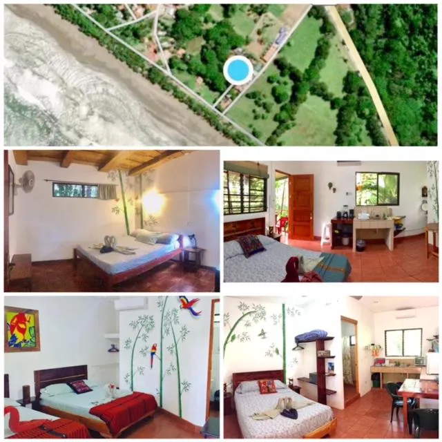 Beach in Hotel Tropical Sands Dominical