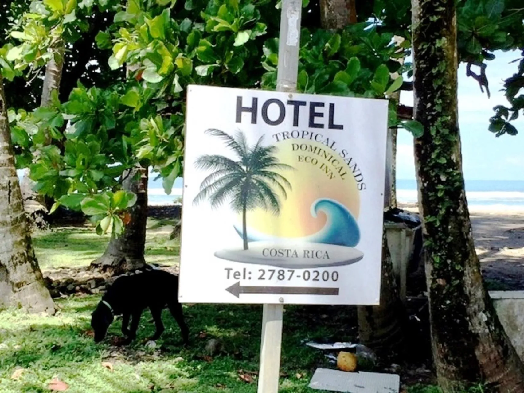 Property logo or sign in Hotel Tropical Sands Dominical