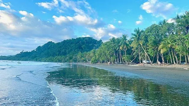 Natural landscape in Hotel Tropical Sands Dominical