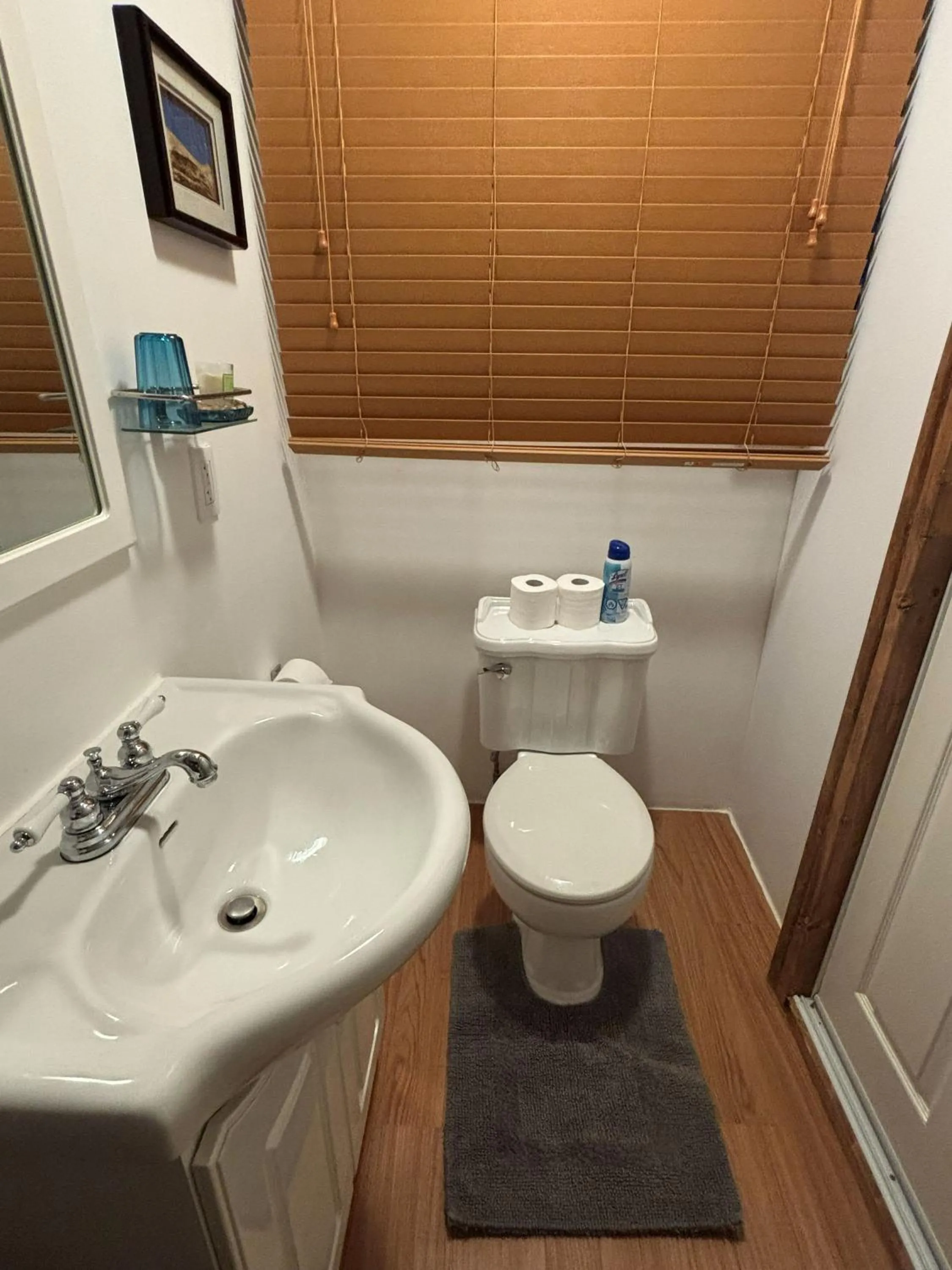 Toilet in Bed & Breakfast Monarch