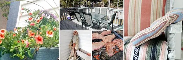 BBQ facilities in Bed & Breakfast Monarch