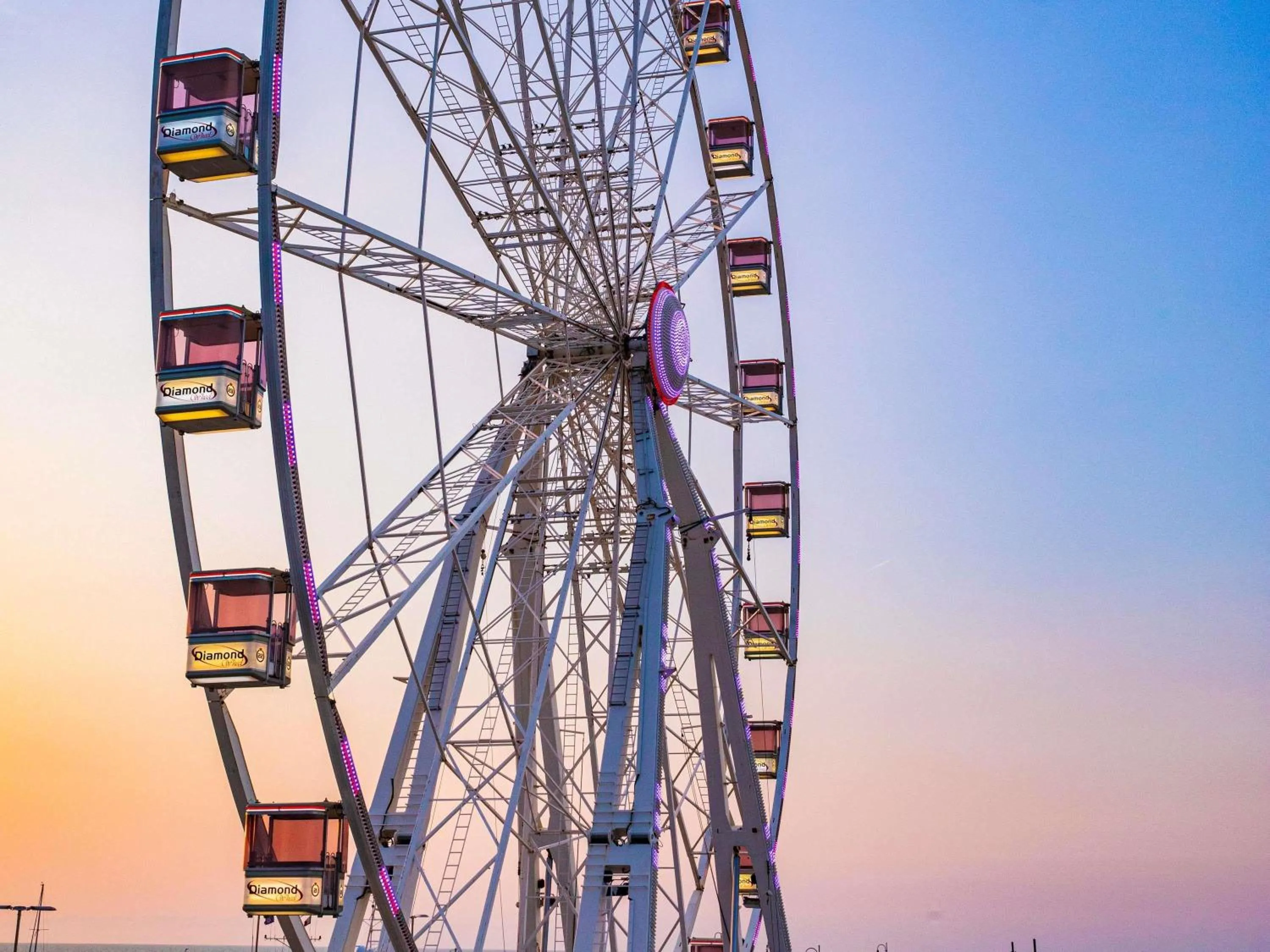 Other in Mercure Hotel Rimini Artis