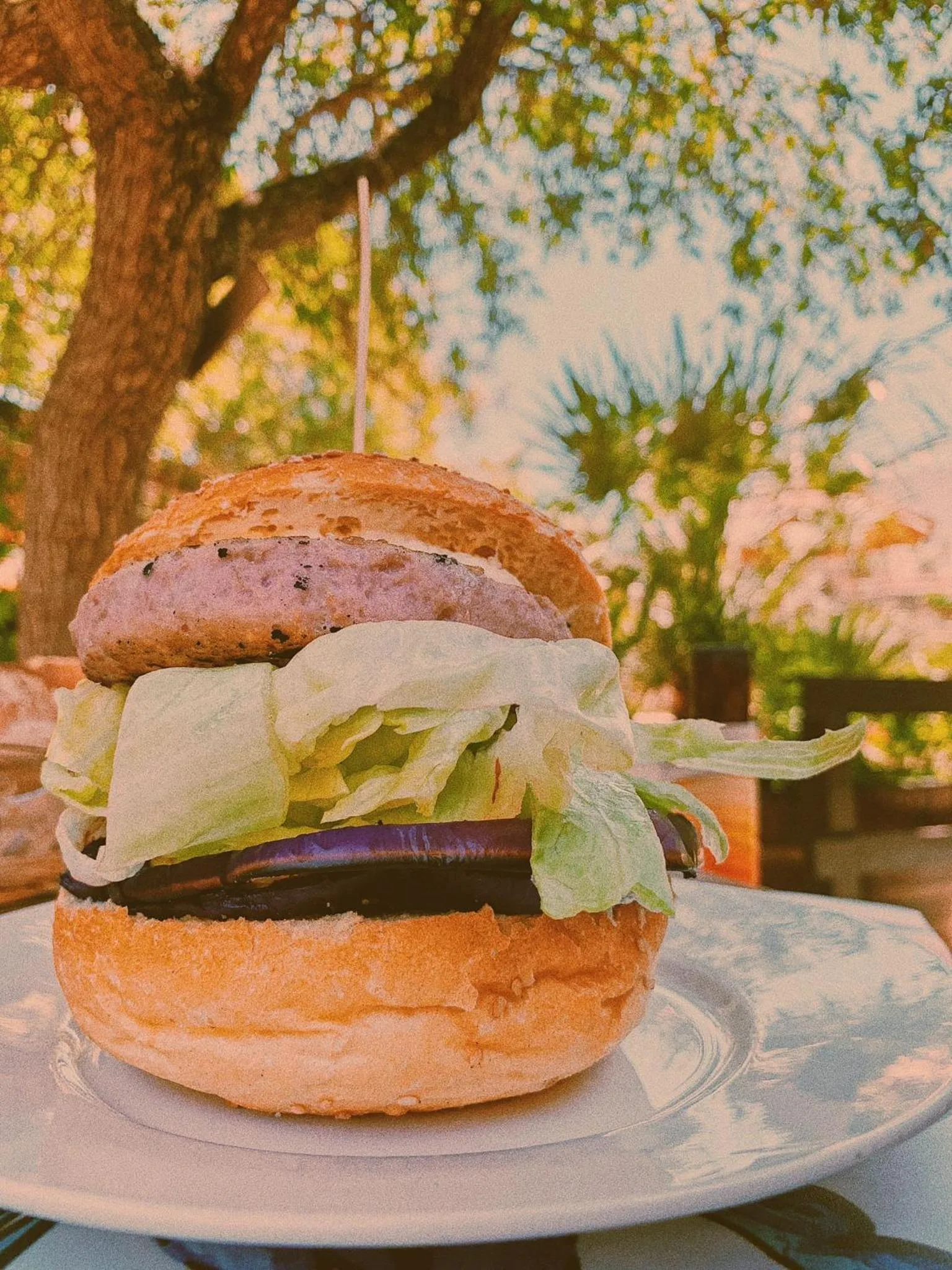 Restaurant/places to eat in L'Oasi Villaggio Albergo