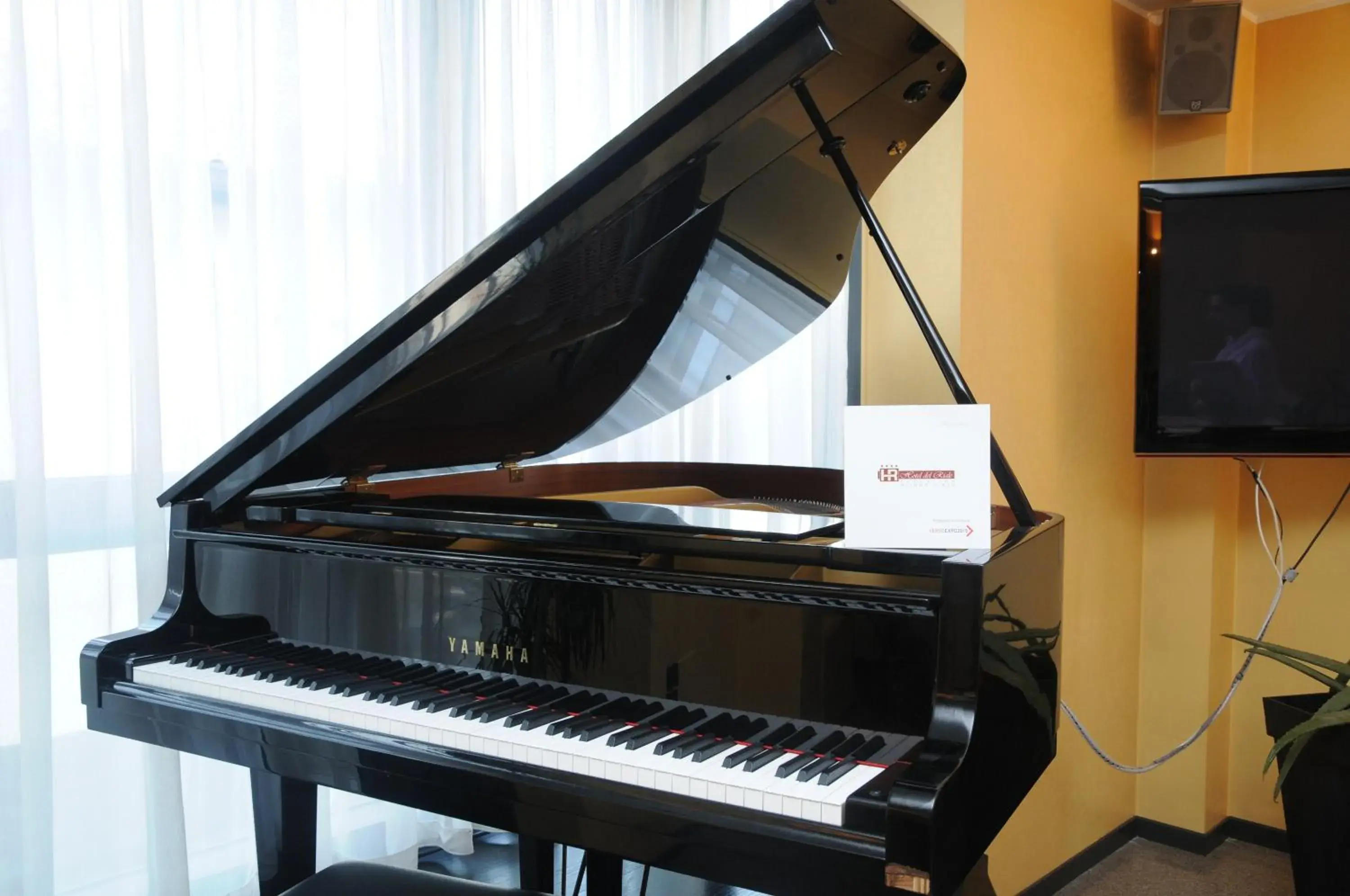 Lounge or bar in Hotel Del Riale Lounge or bar in Hotel Del Riale