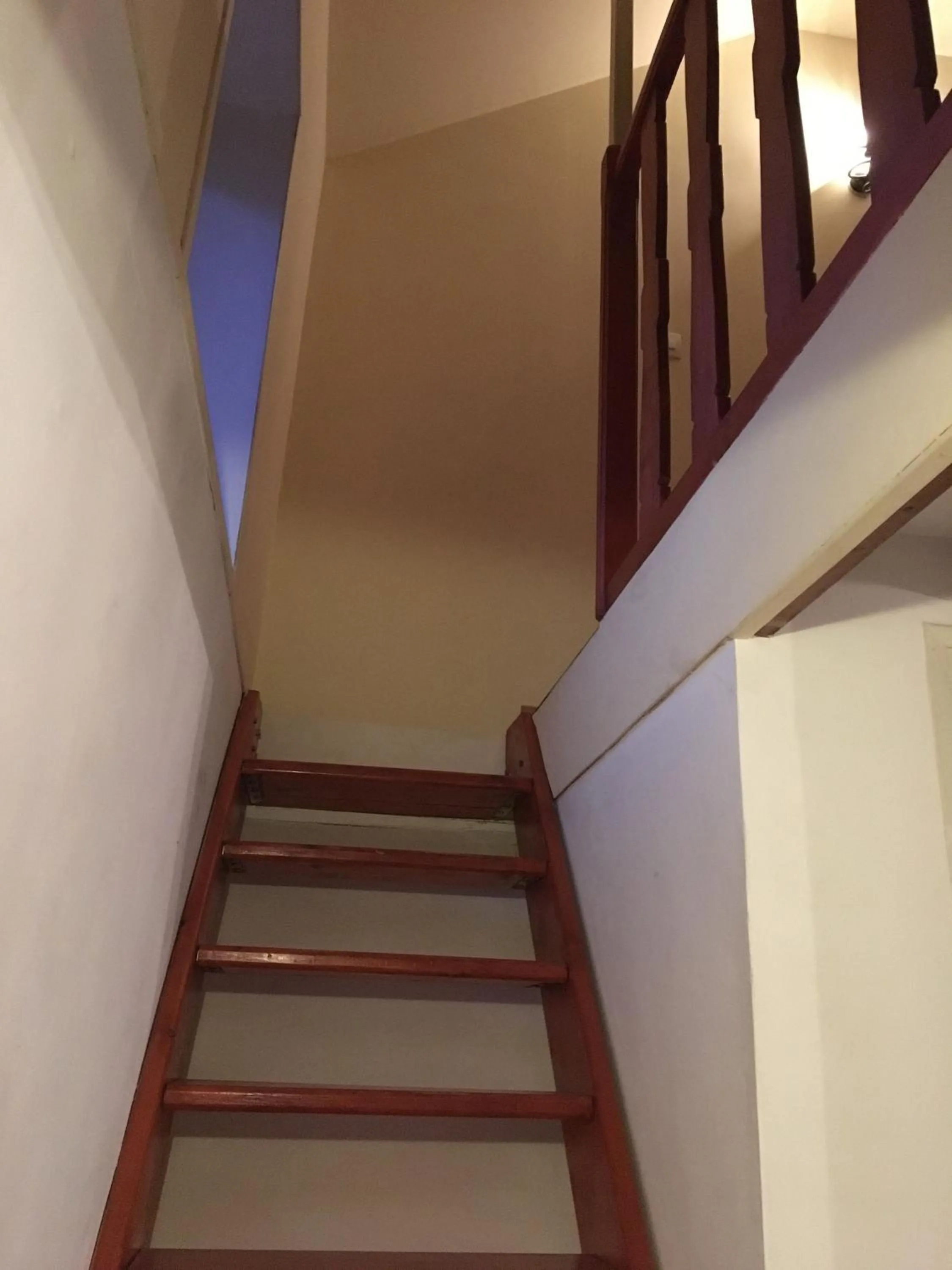 Other in La Pomme de nuit