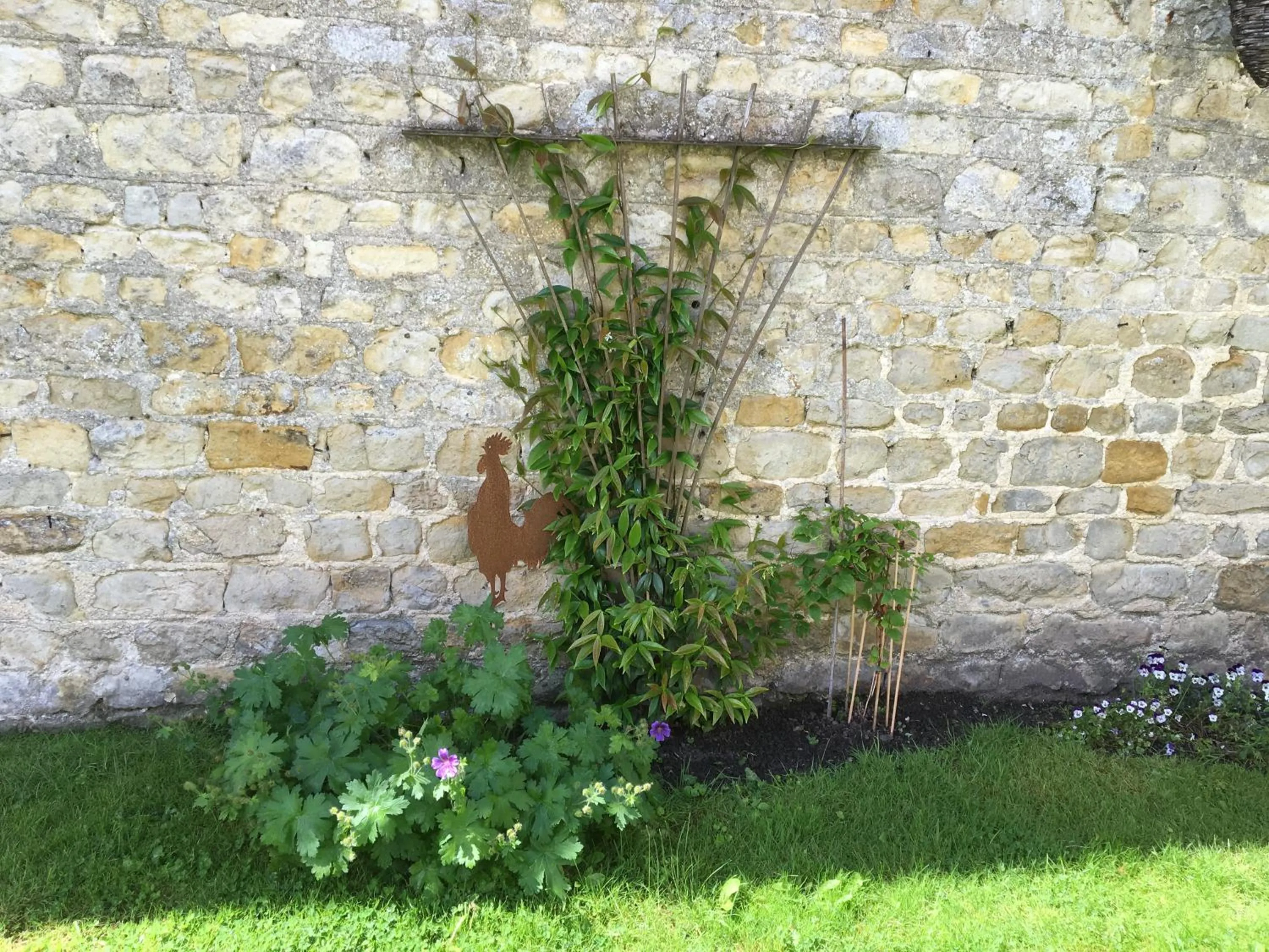 Garden in La Pomme de nuit