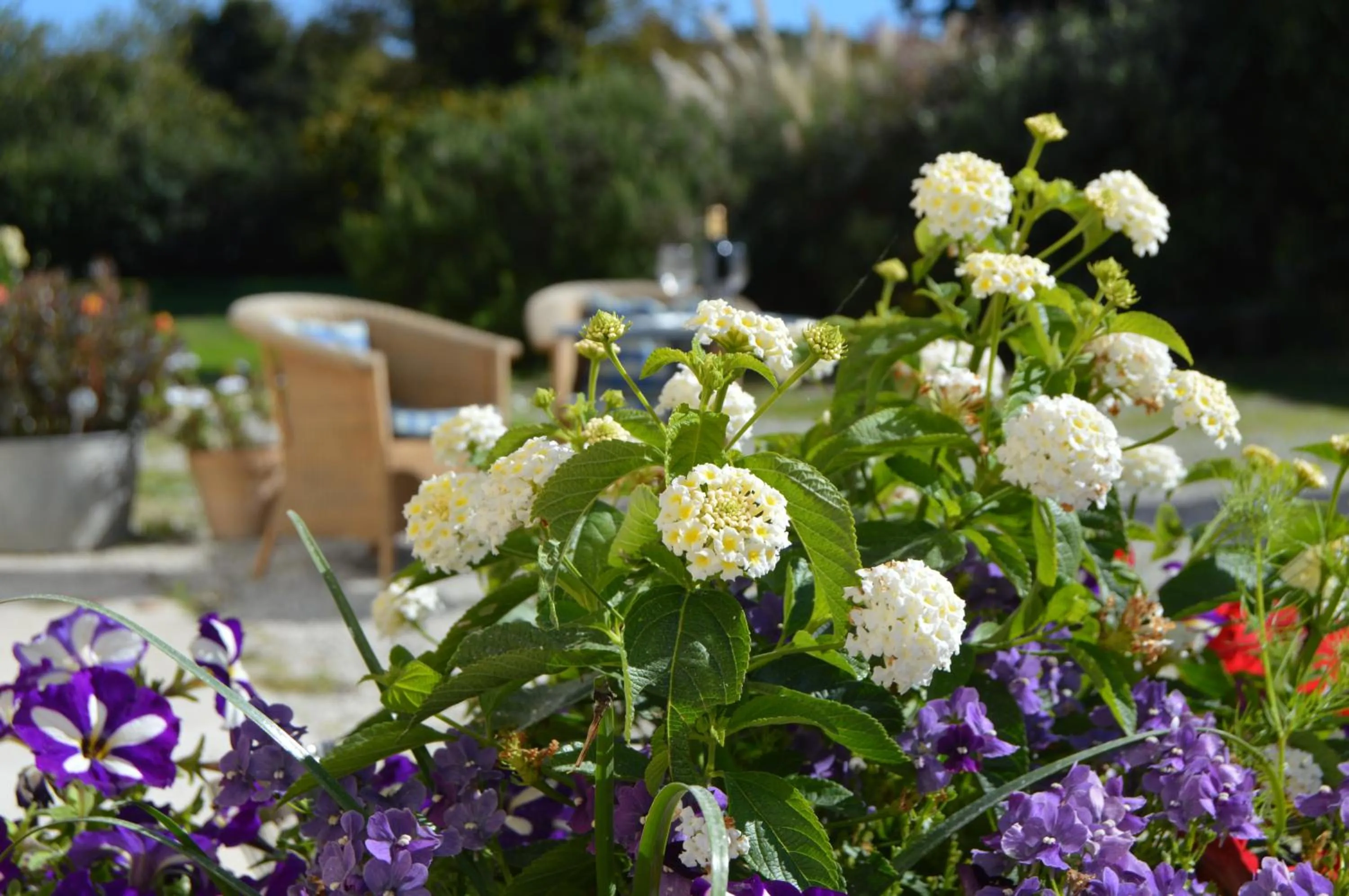 Garden in La Vieille Distillerie