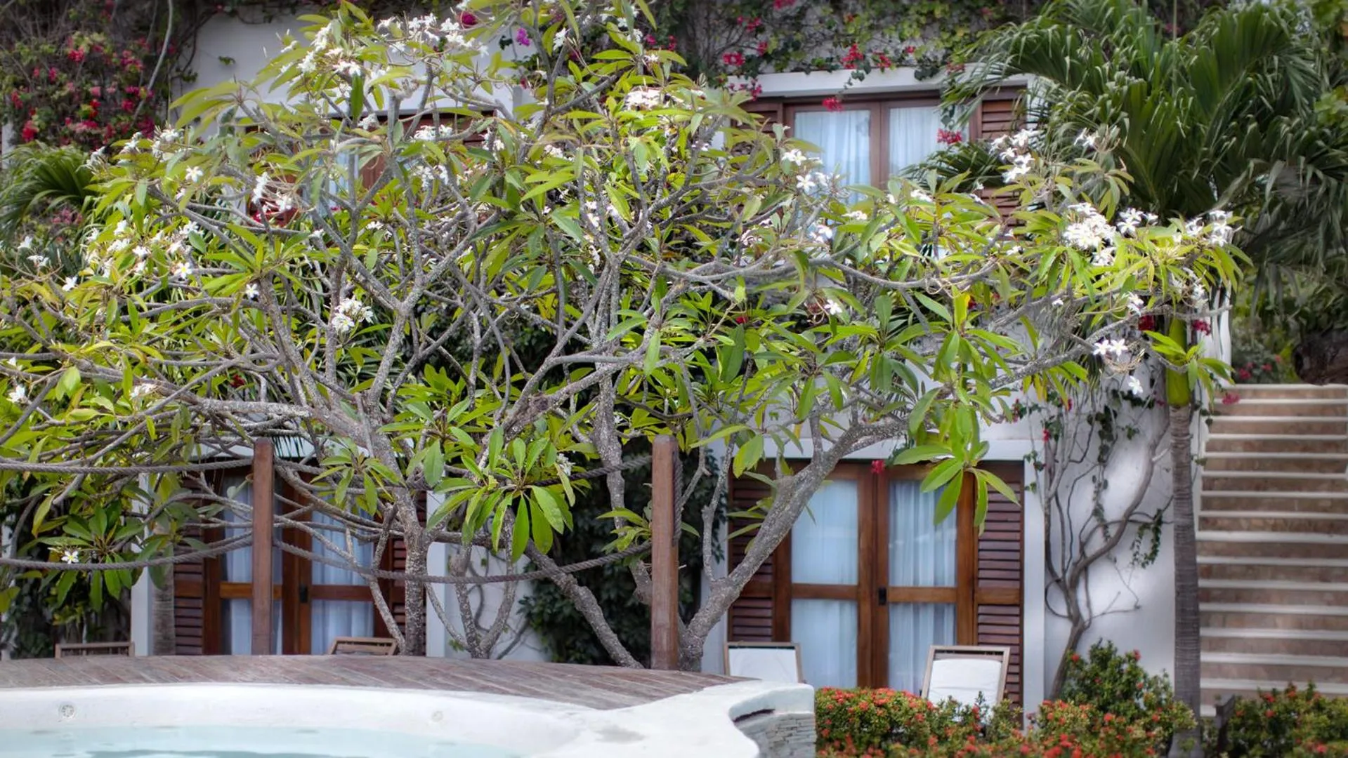 Facade/entrance in My Blue Hotel