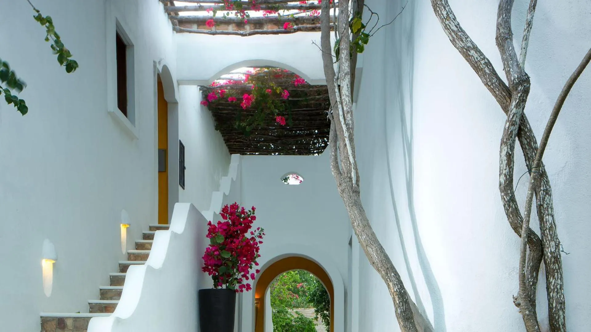 Other in My Blue Hotel