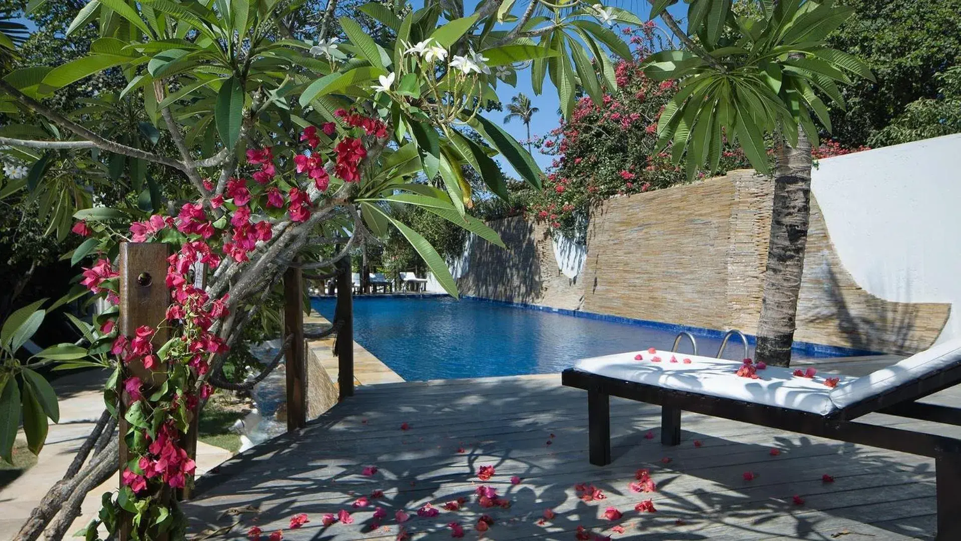 Swimming pool in My Blue Hotel Swimming pool in My Blue Hotel