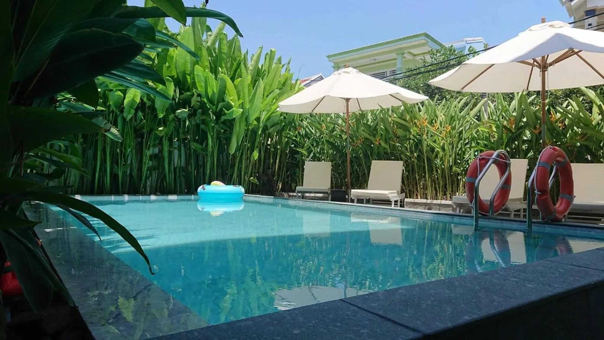 Swimming pool in Flamingo Villa Homestay - Big Rooms with Balcony - Close to Hoi An Old Town 200m & Temple Bridge - Large Outside Pool for Sun Bathing