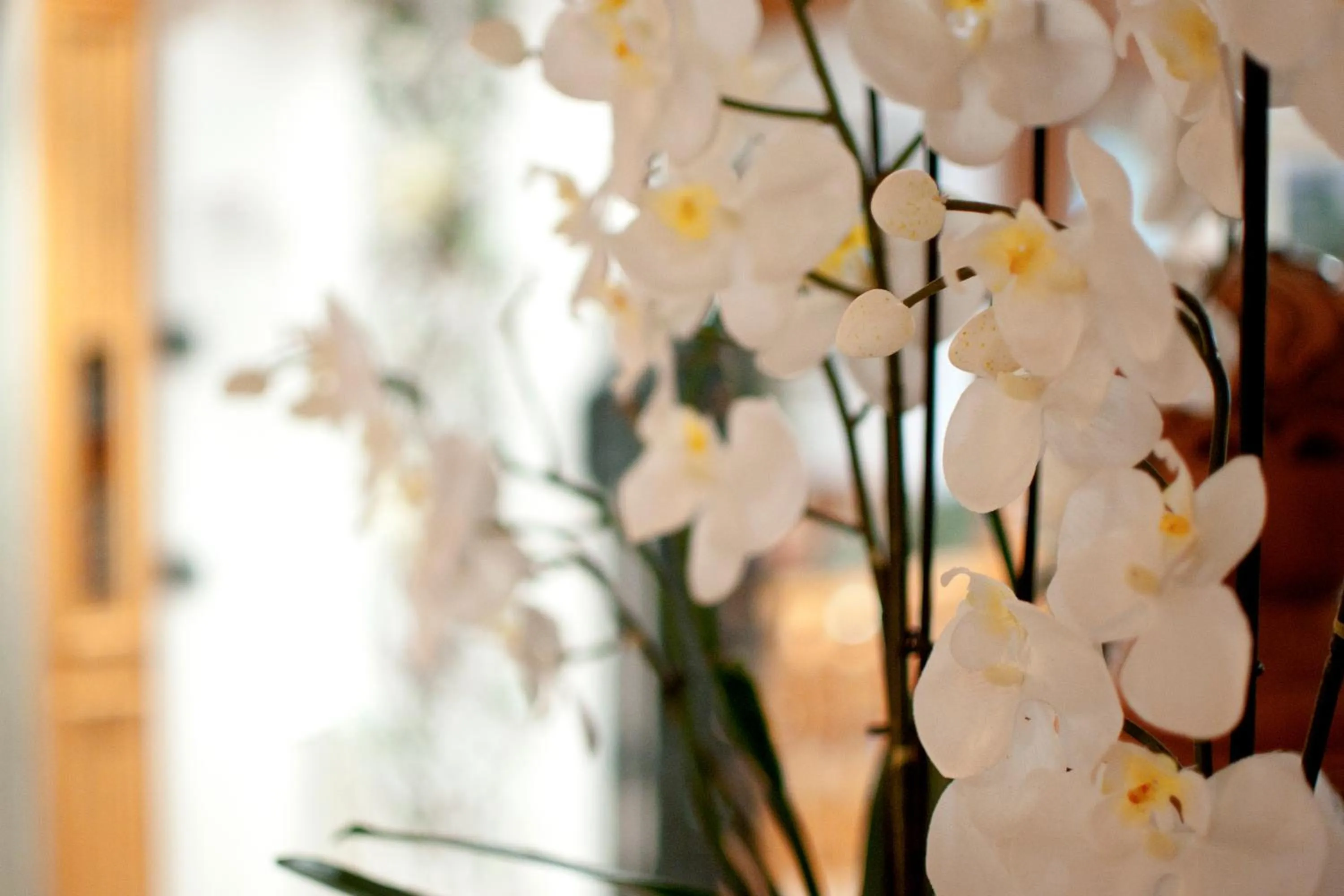 Decorative detail in Hotel Gianna