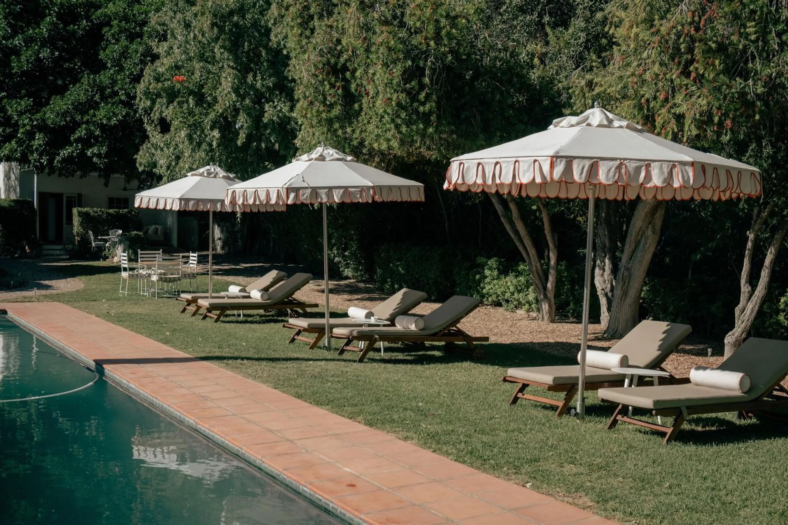 Swimming pool in De Bergkant