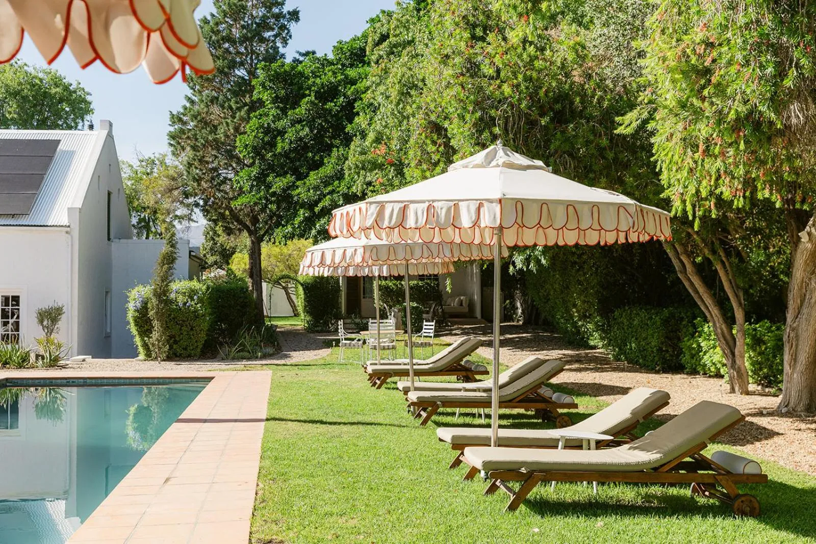 Swimming pool in De Bergkant