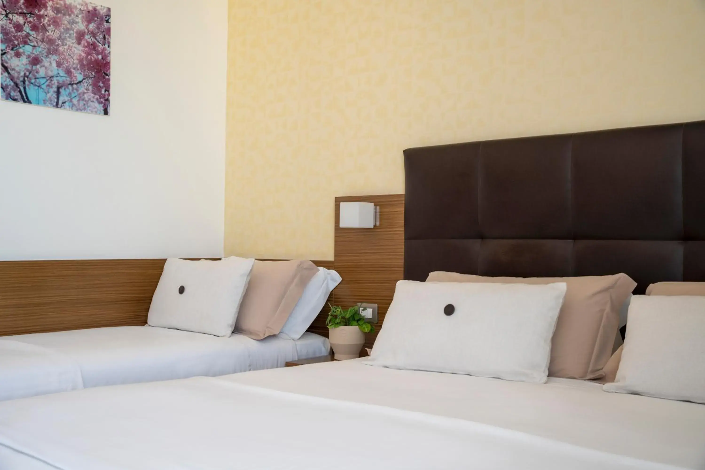 Superior Triple Room in Aqua Hotel Superior Triple Room in Aqua Hotel