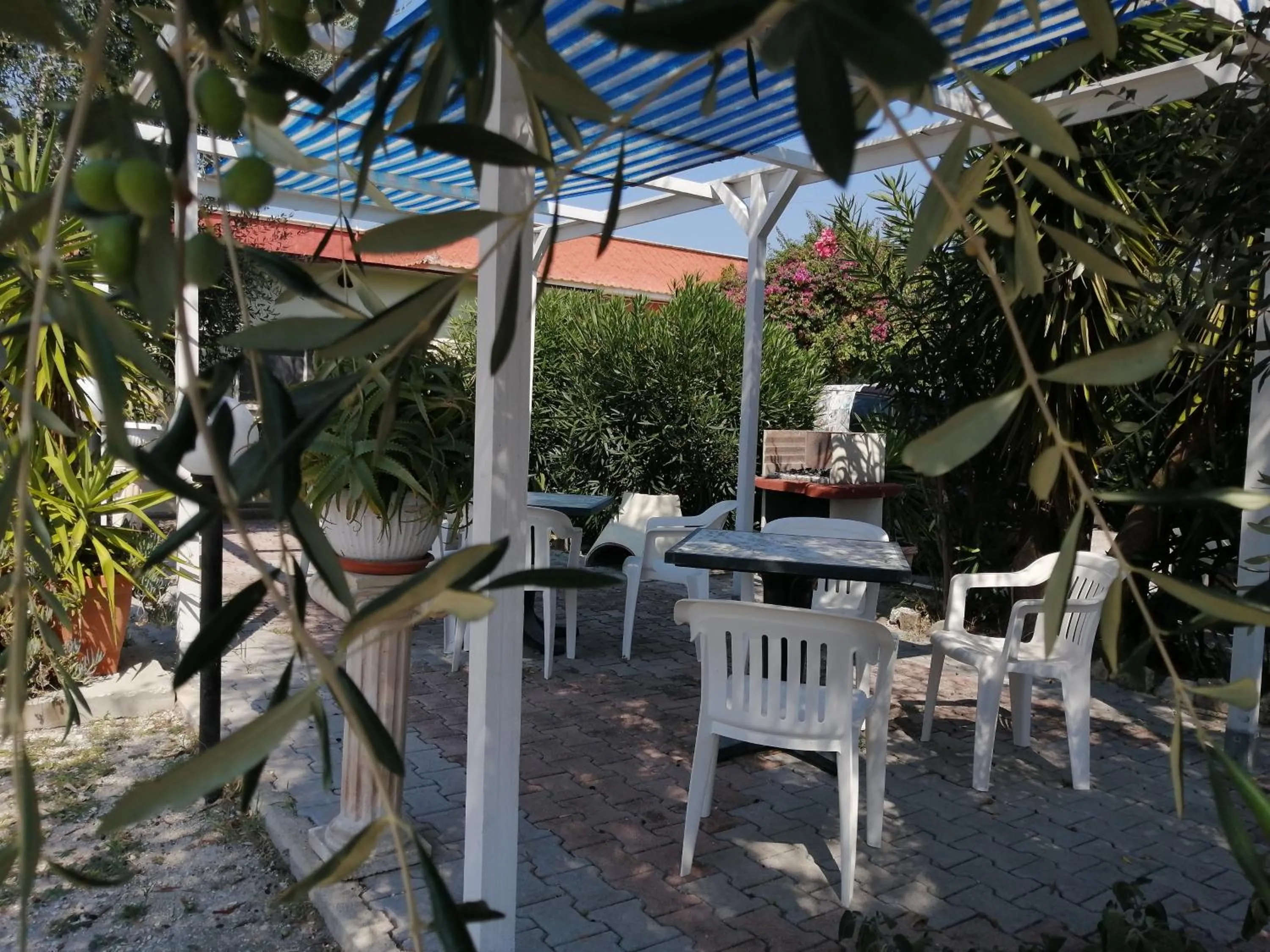 B&B Uliveto del Gargano