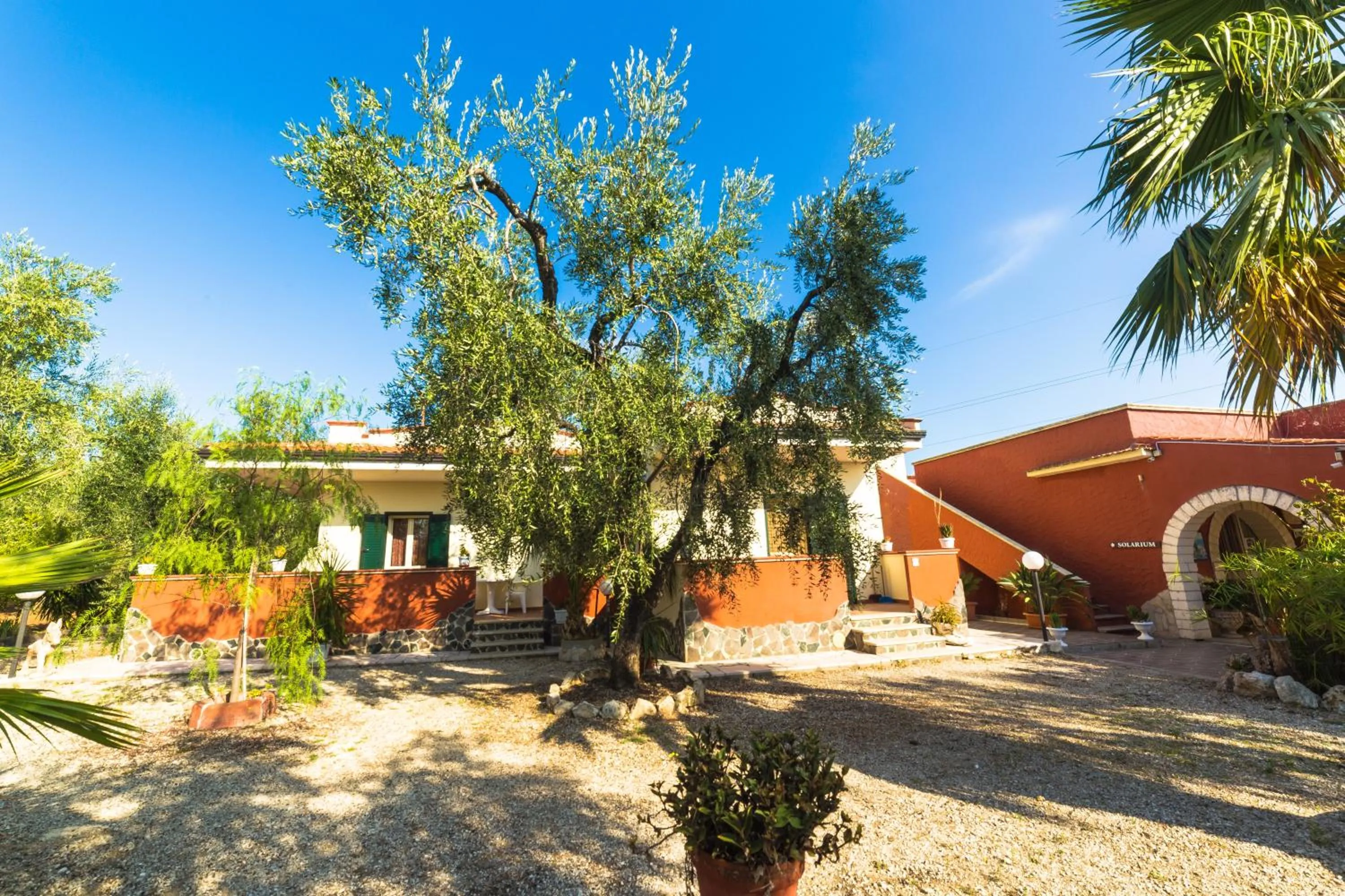 B&B Uliveto del Gargano