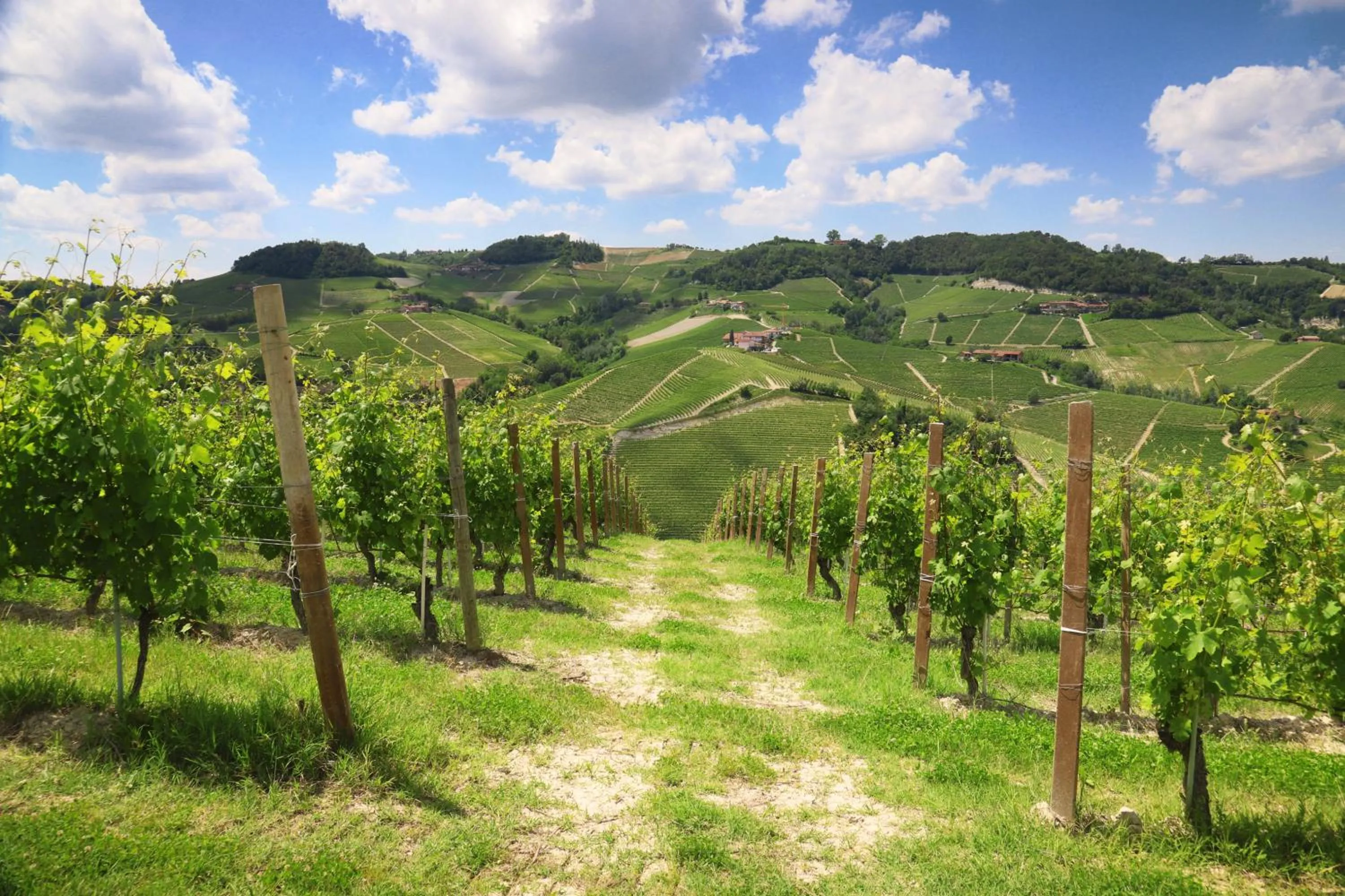 Natural landscape in Il Boscareto Resort & Spa