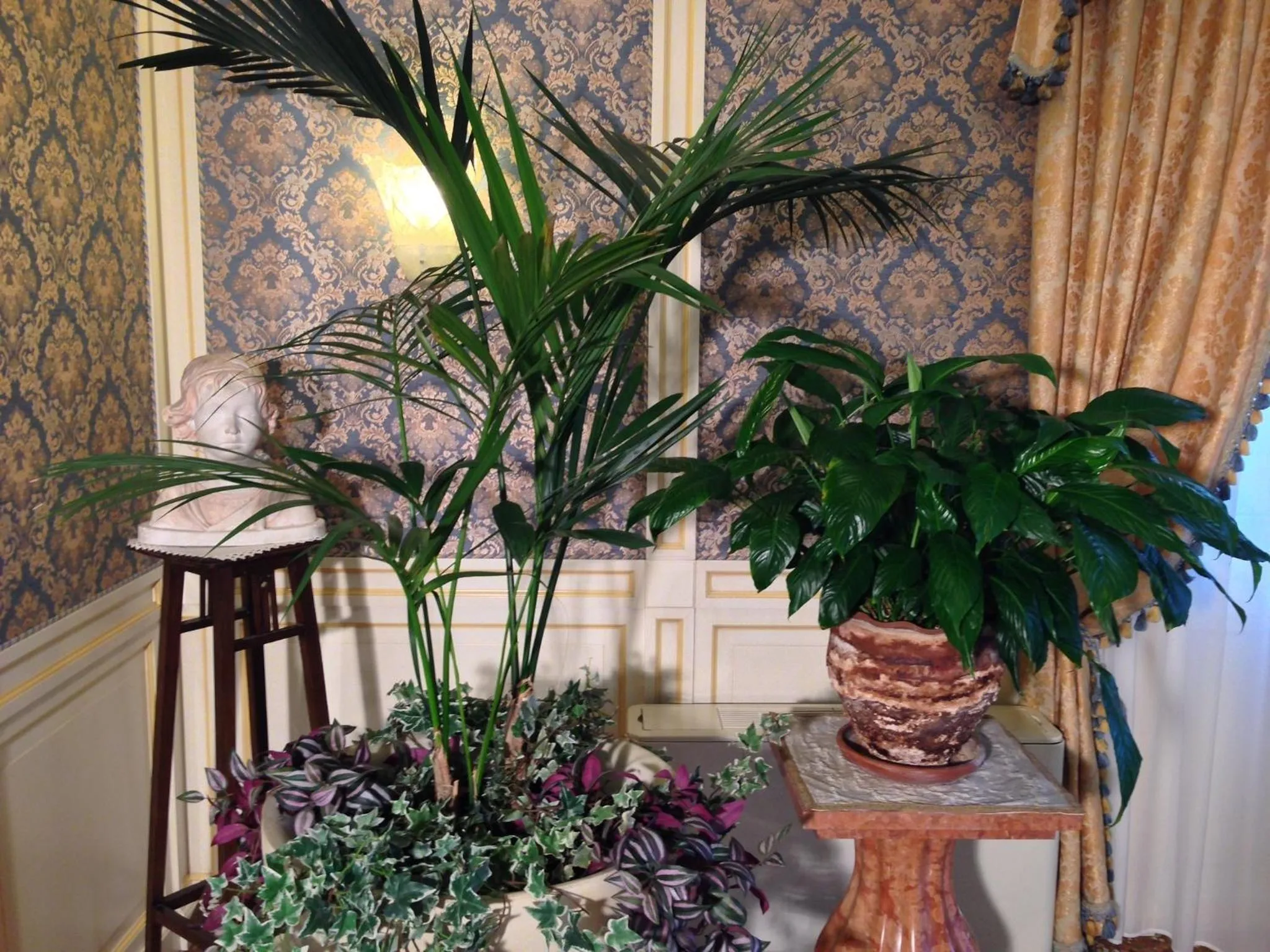 Restaurant/places to eat in Hotel Doge