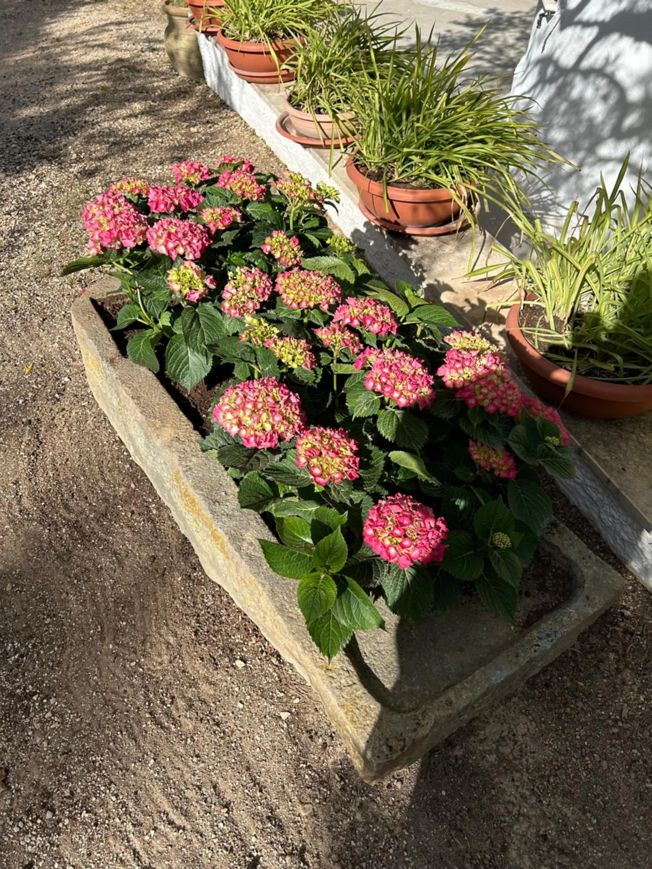 Garden in Residence Guidaloca