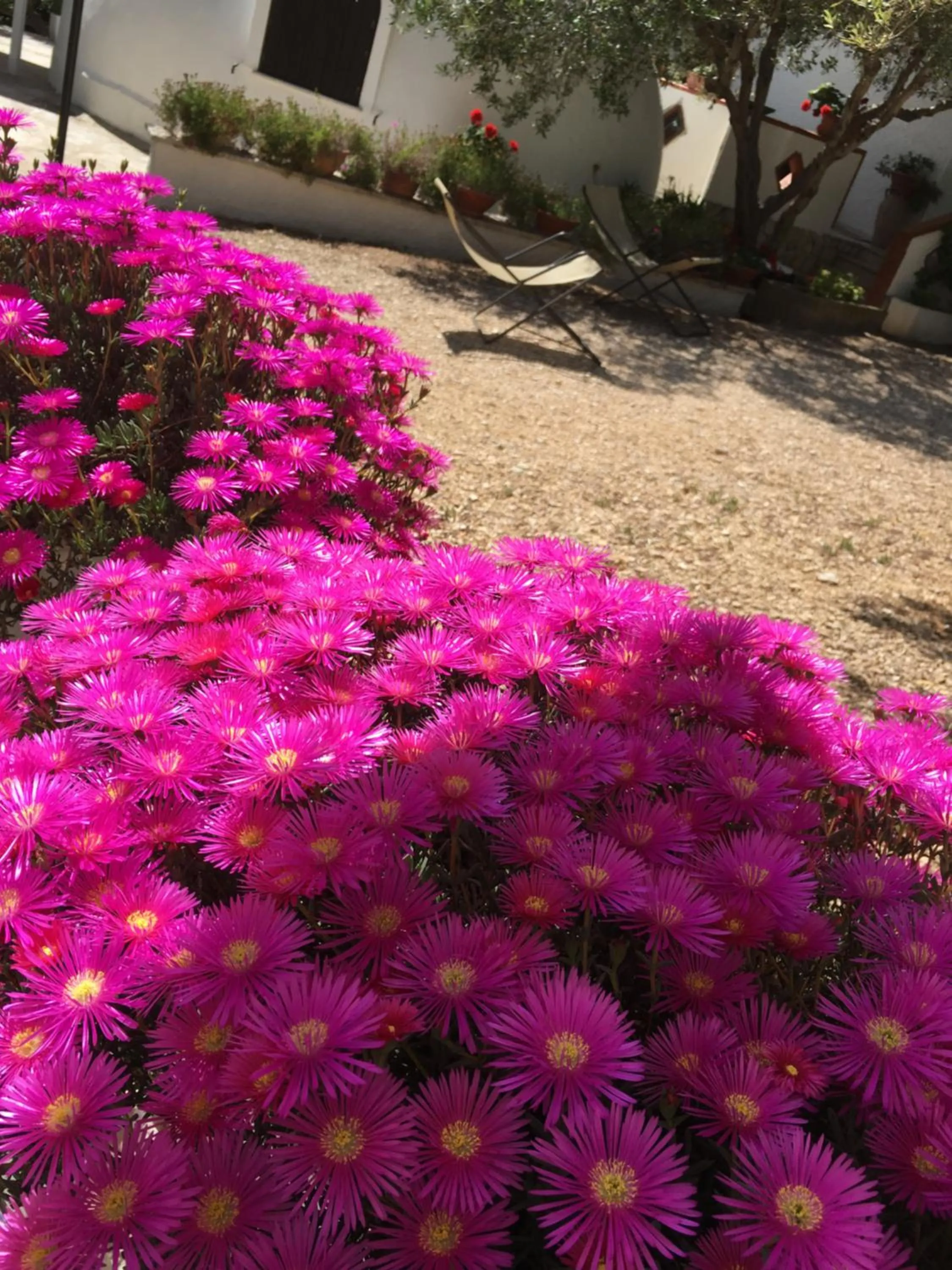 Garden in Residence Guidaloca