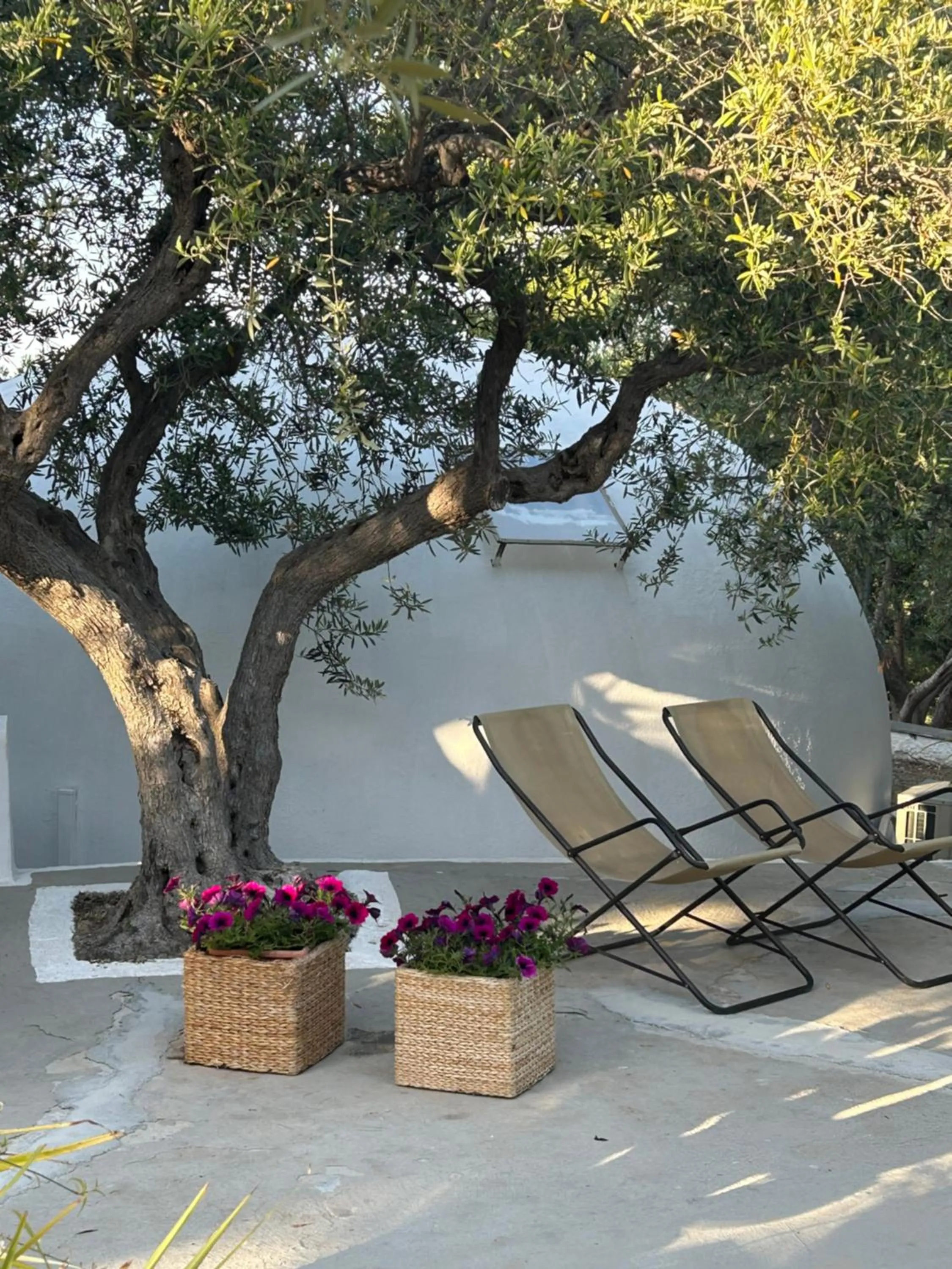 Garden view in Residence Guidaloca