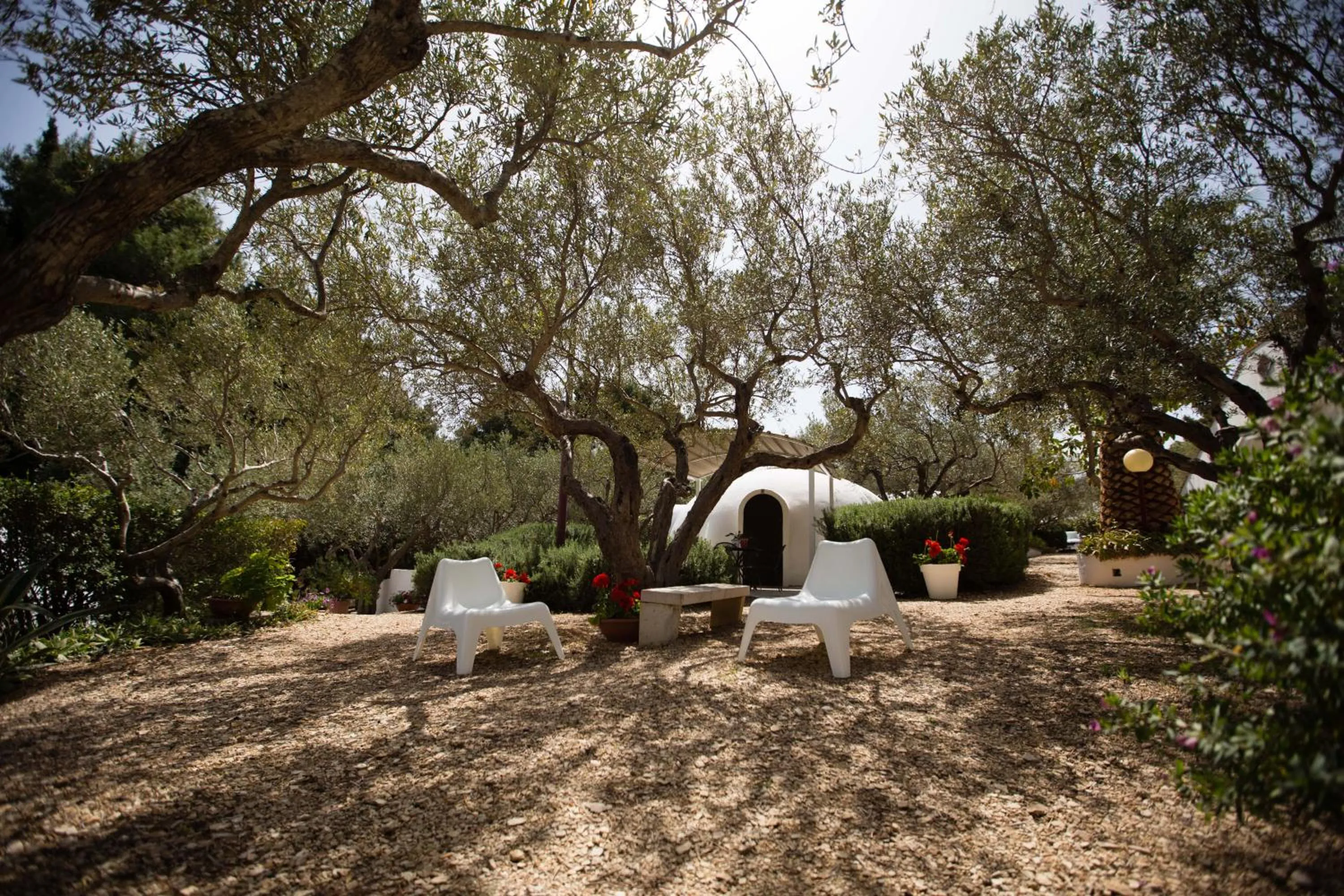 Day in Residence Guidaloca