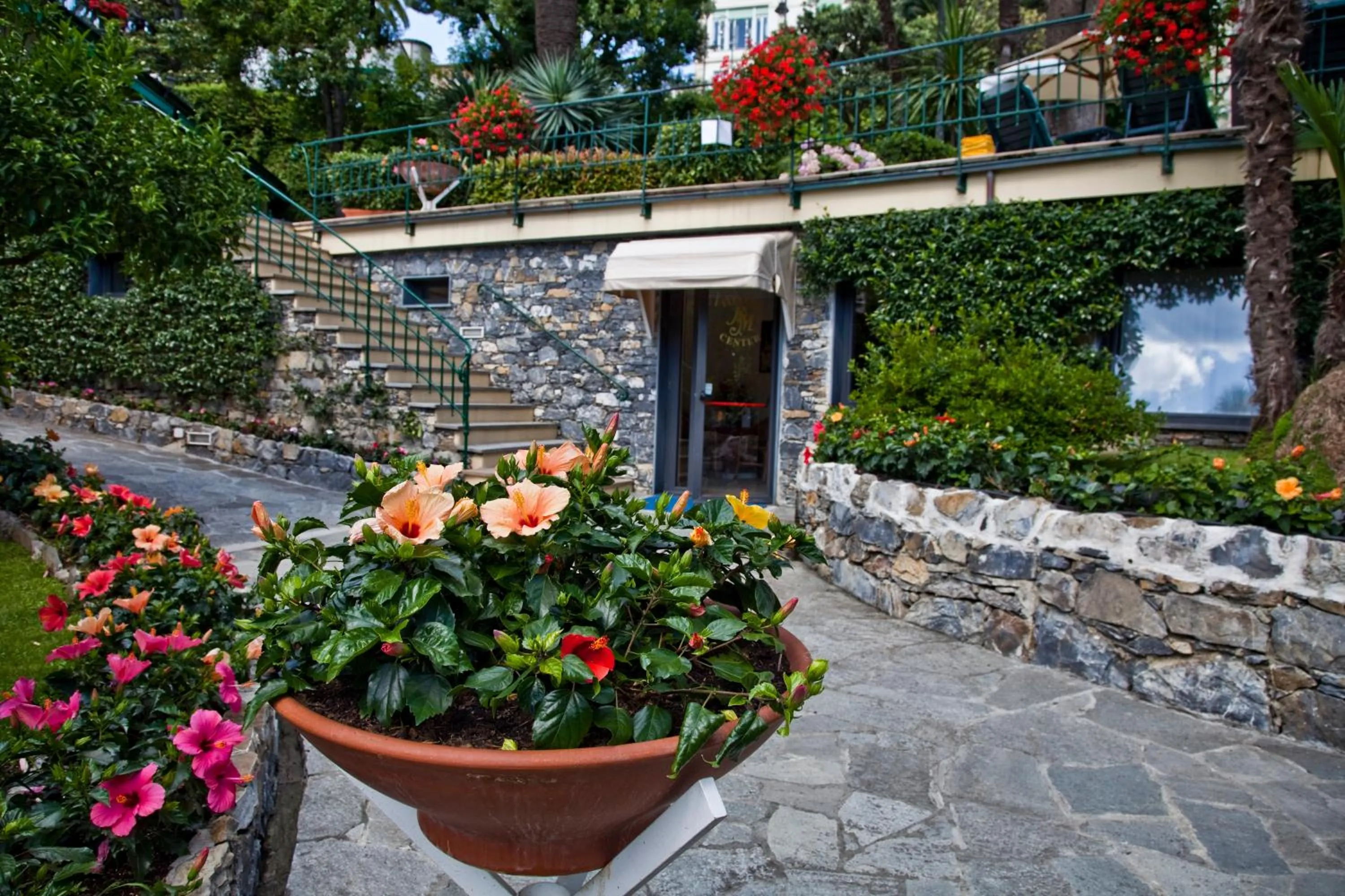 Garden in Hotel Metropole