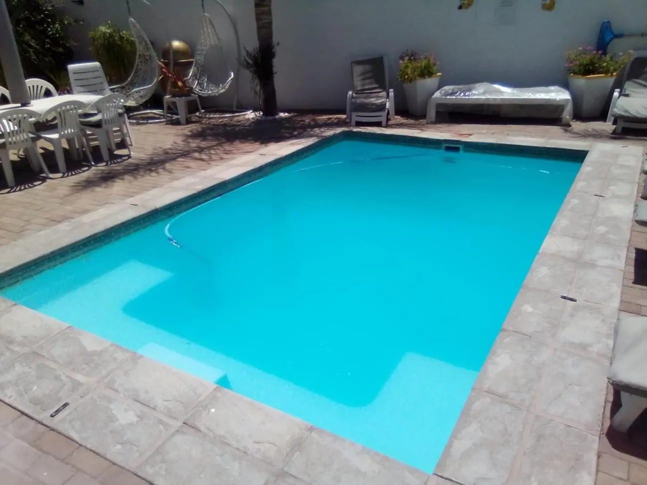 Swimming pool in Au Plais De Langebaan at Palm Tree Villa