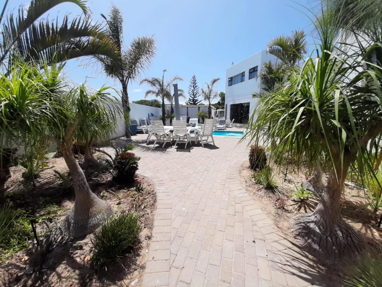 Pool view in Au Plais De Langebaan at Palm Tree Villa