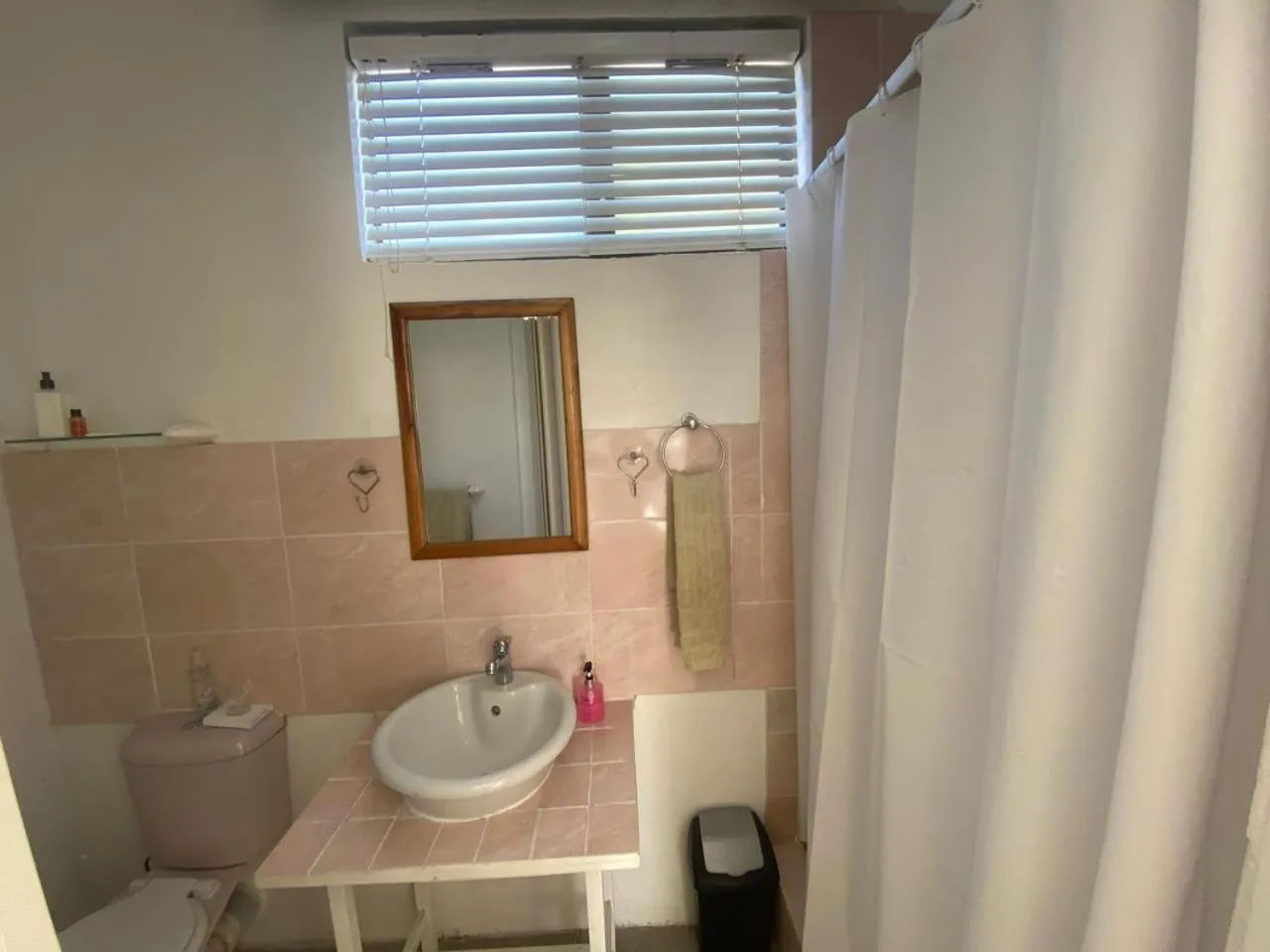 Shower in Au Plais De Langebaan at Palm Tree Villa