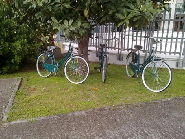 Cycling in Residence Viale Venezia