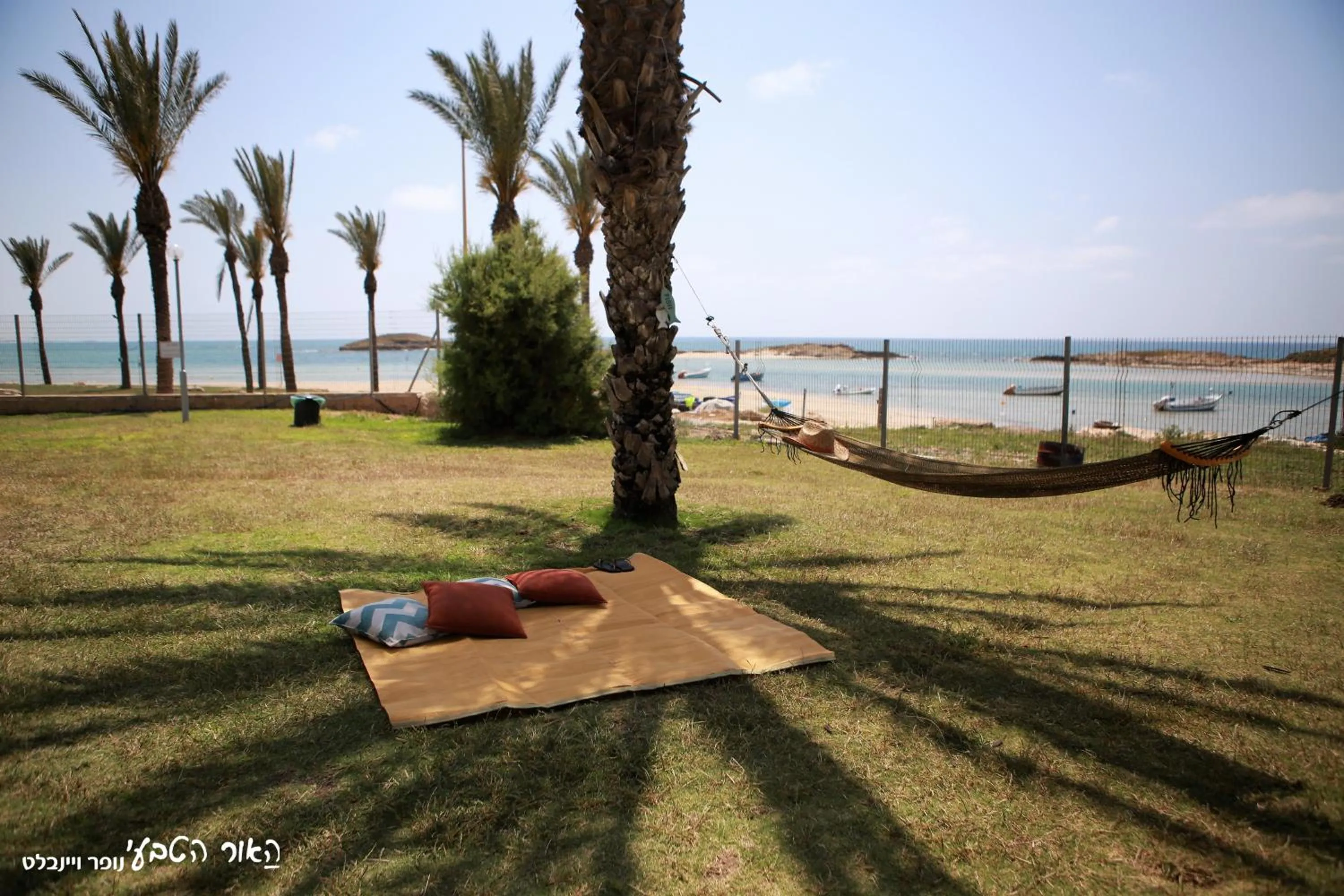 Garden in Dor village