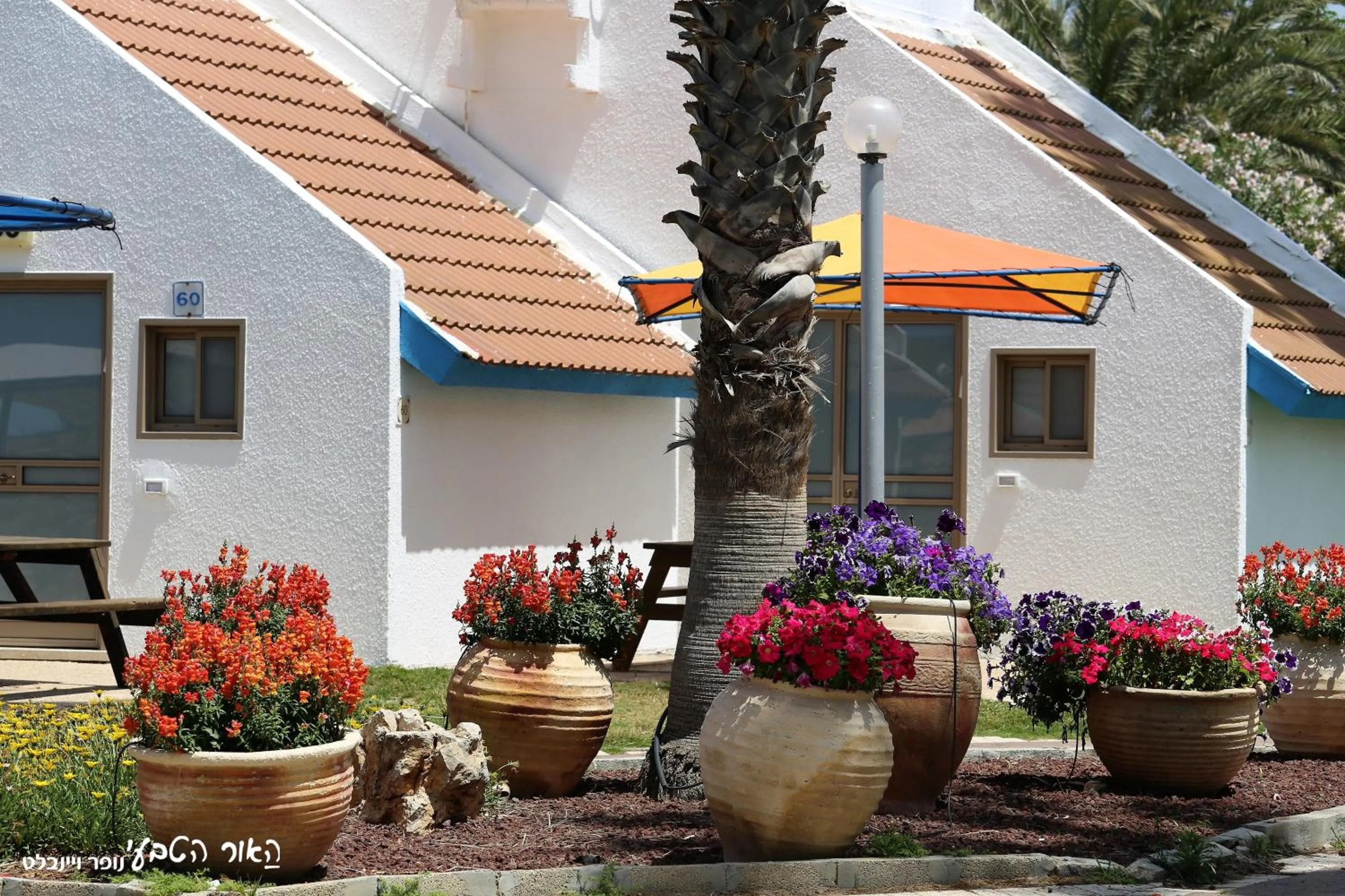 Natural landscape in Dor village