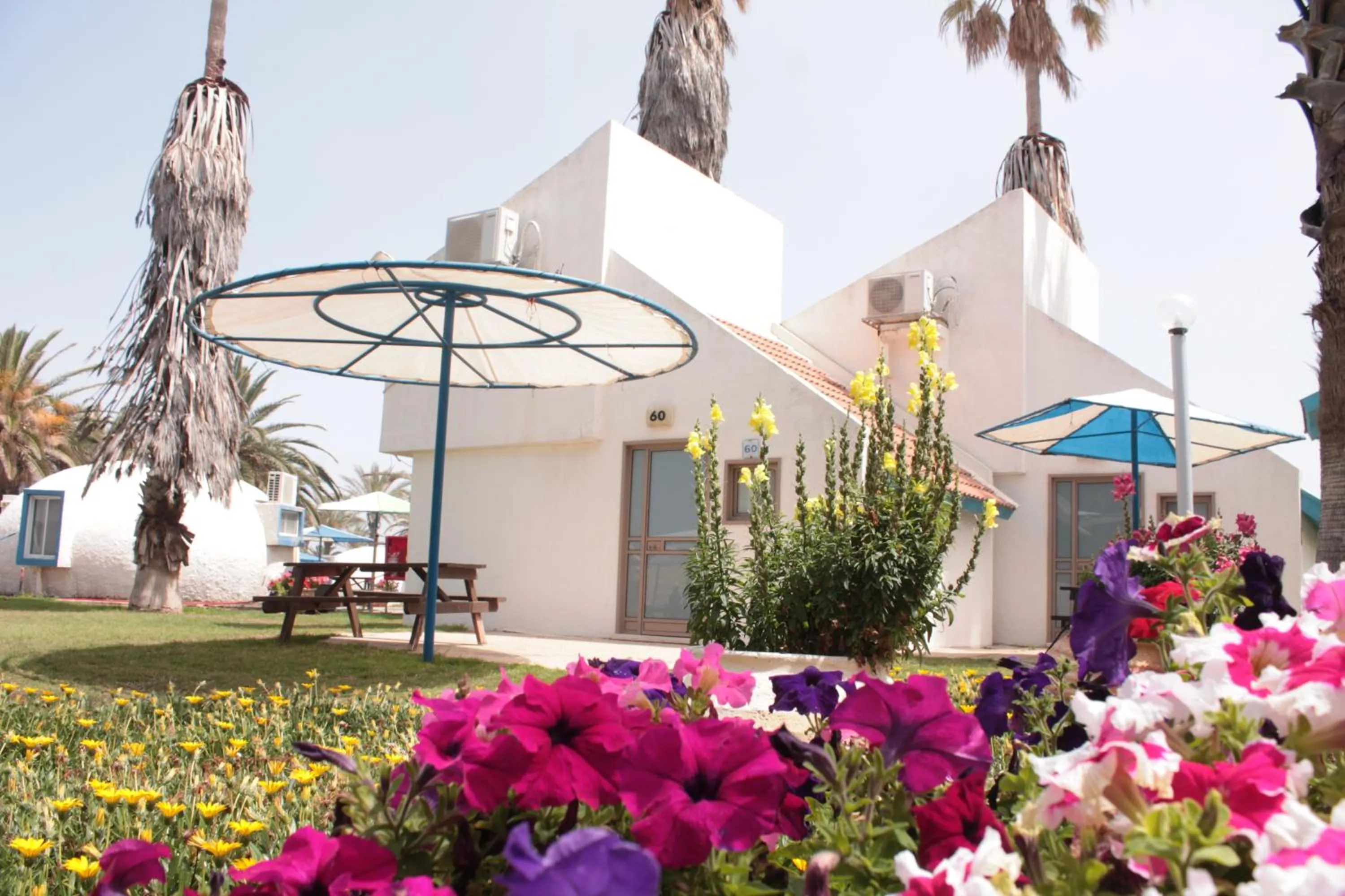 Patio in Dor village