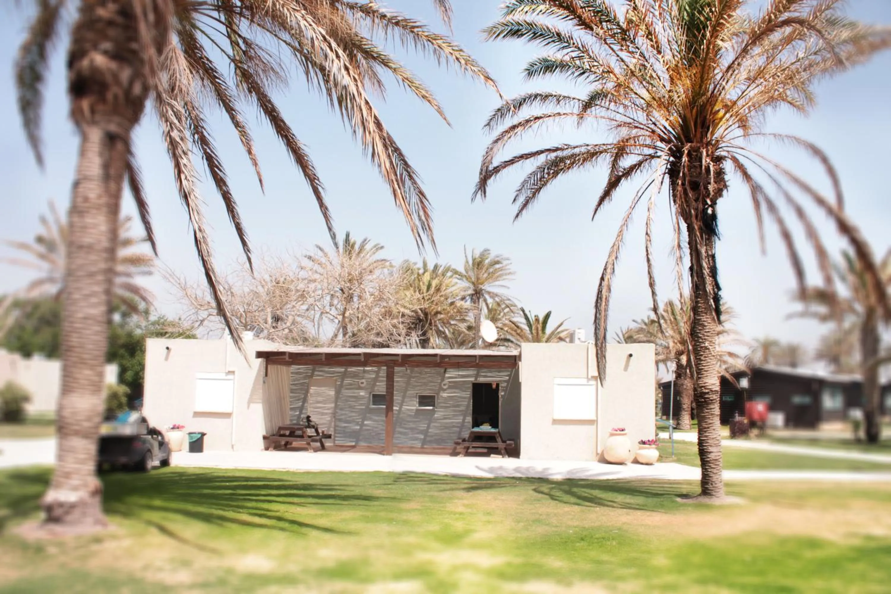 Garden in Dor village