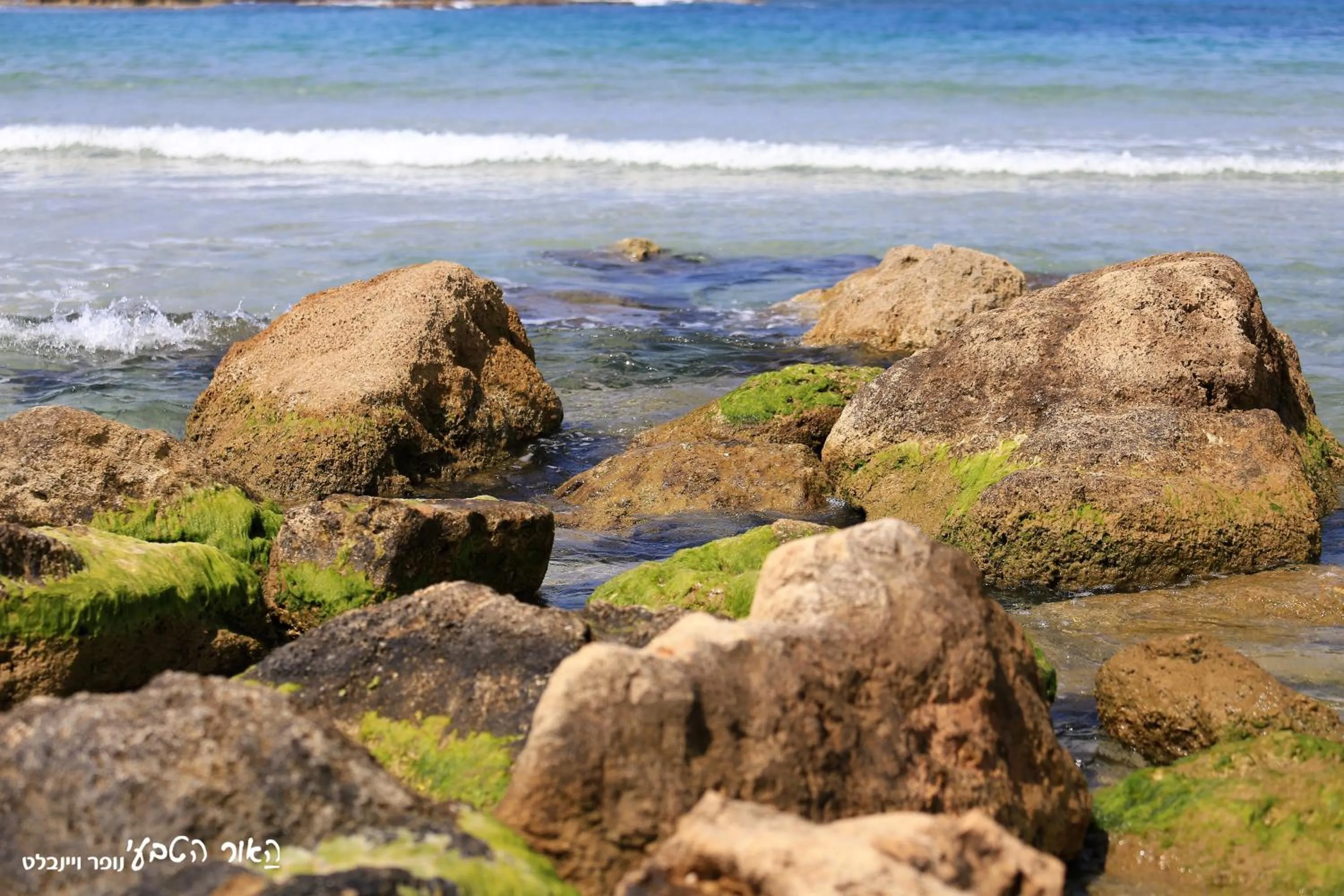 Beach in Dor village