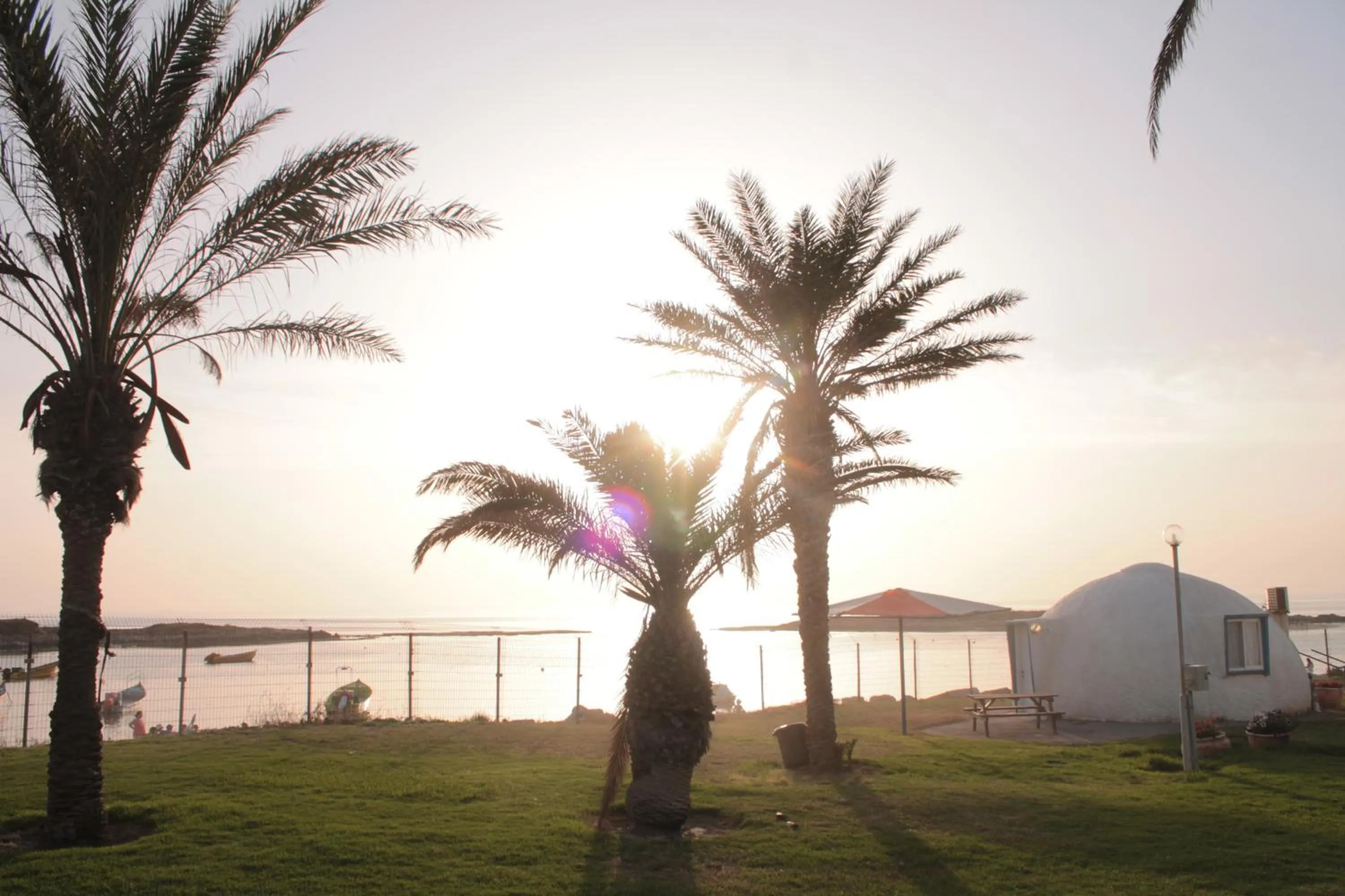 Garden in Dor village